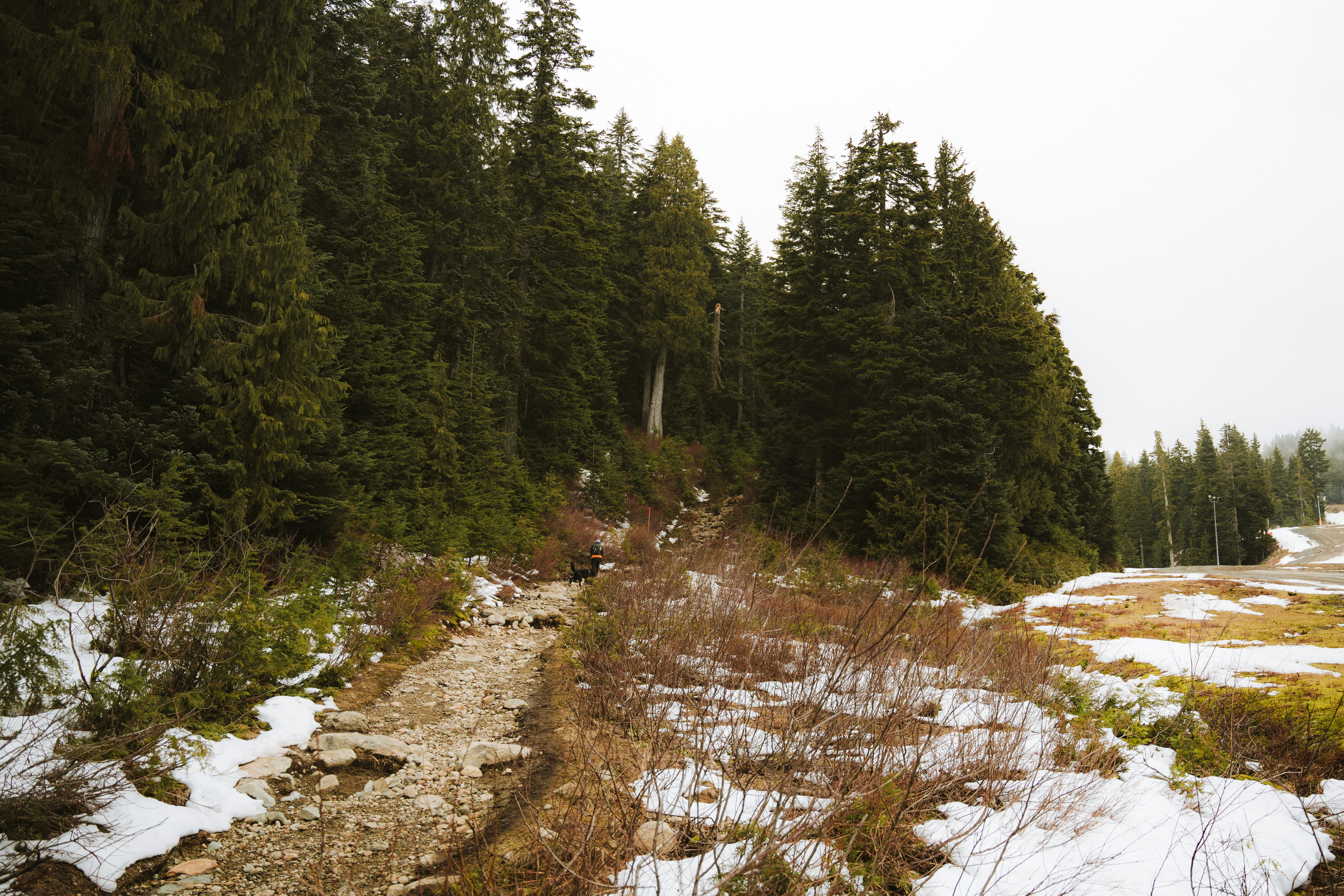 Photo by bylukemiller