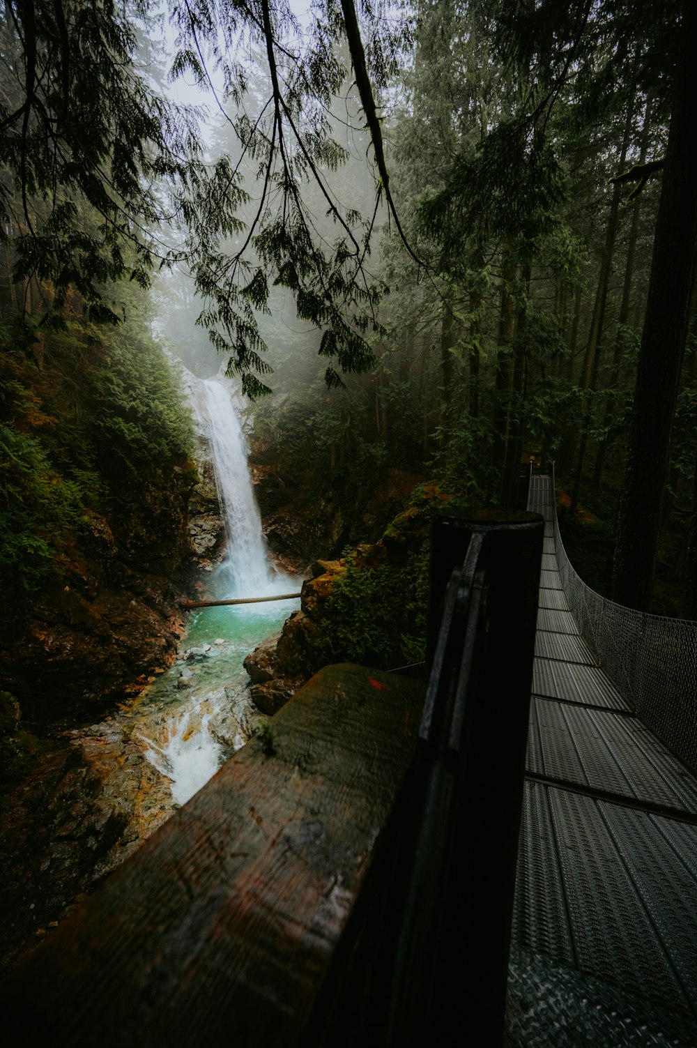 a small waterfall in the middle of a forest