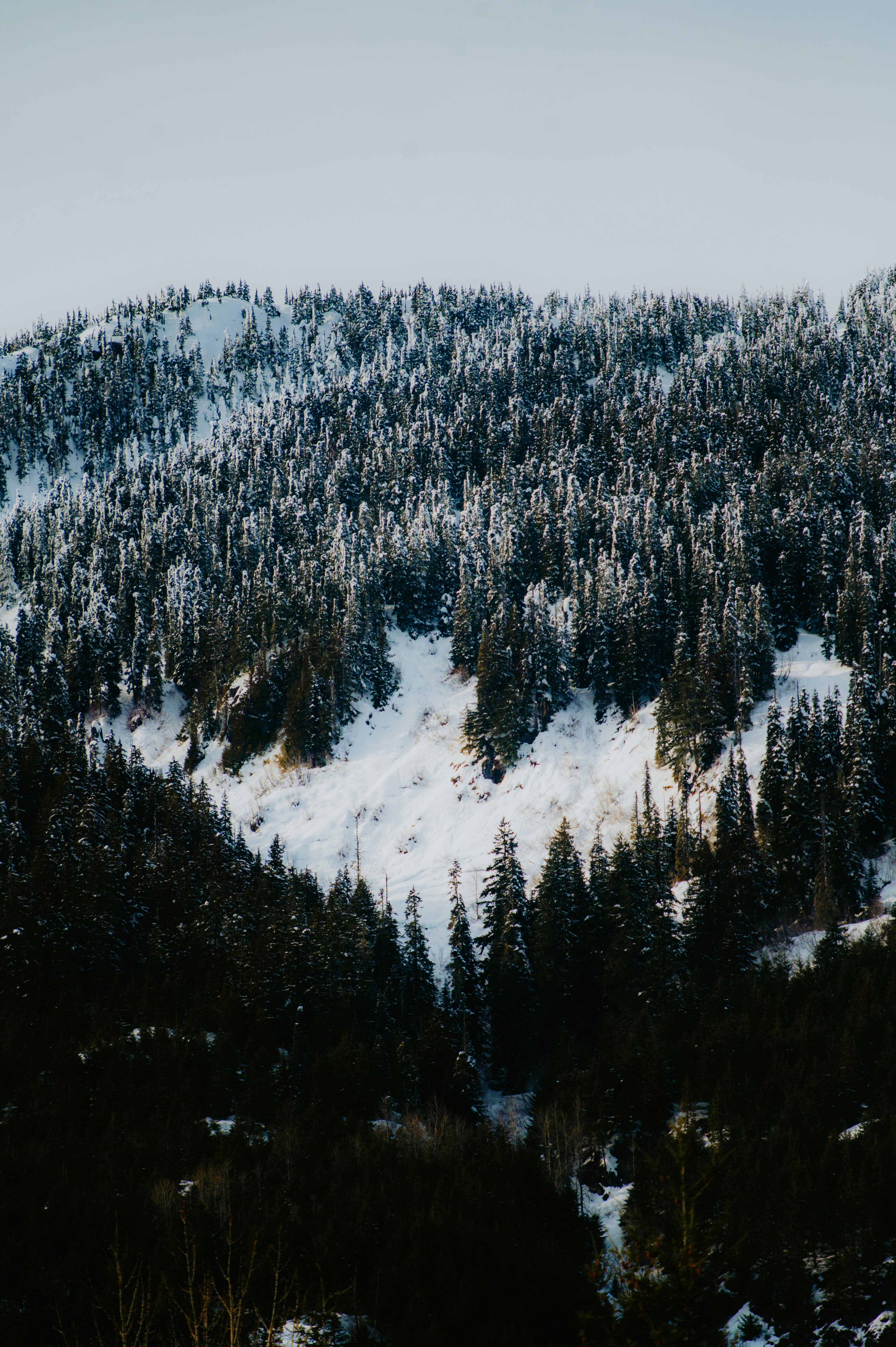 Photo by bylukemiller