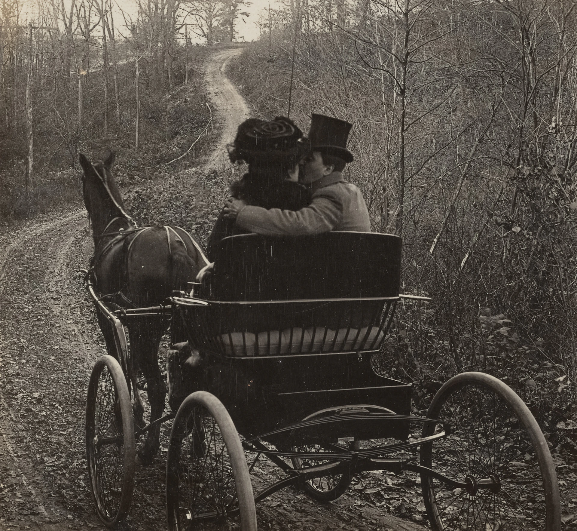 Couple in horse-drawn carriage on a dirt road