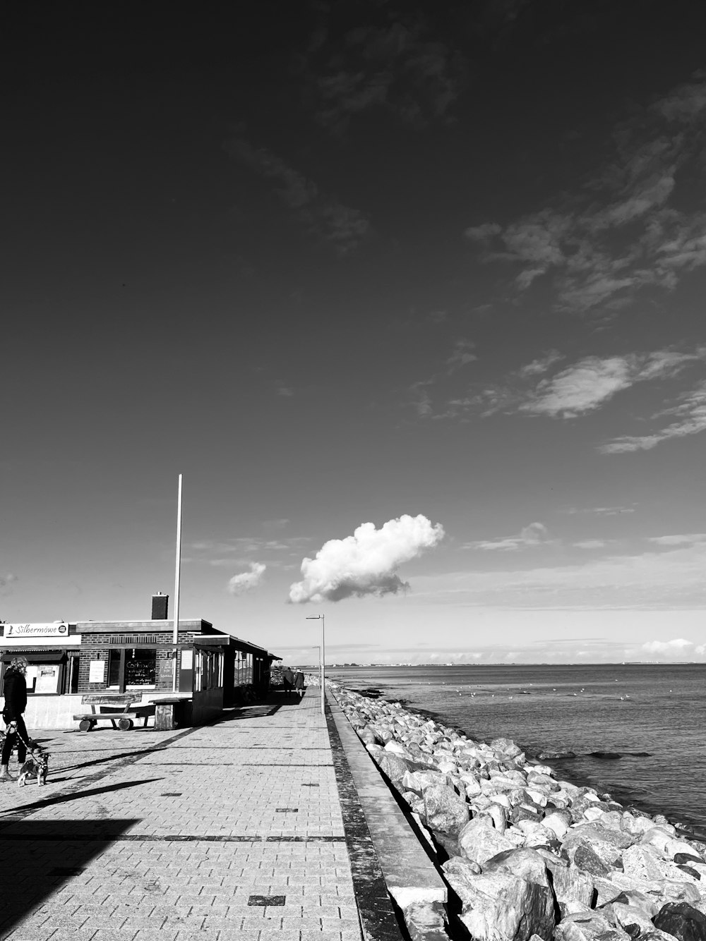 a black and white photo of people walking on a pier