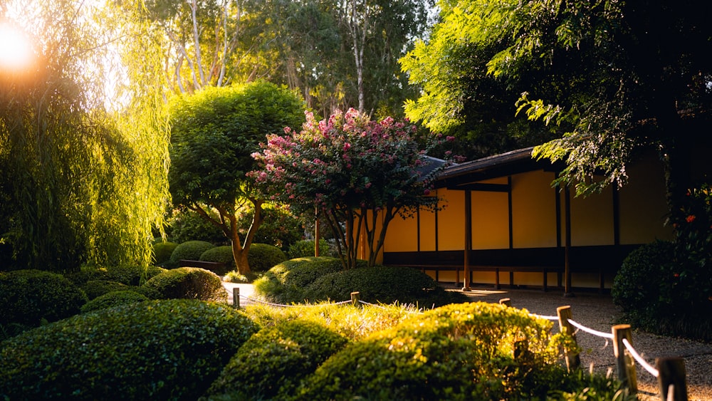 a japanese garden with trees and bushes