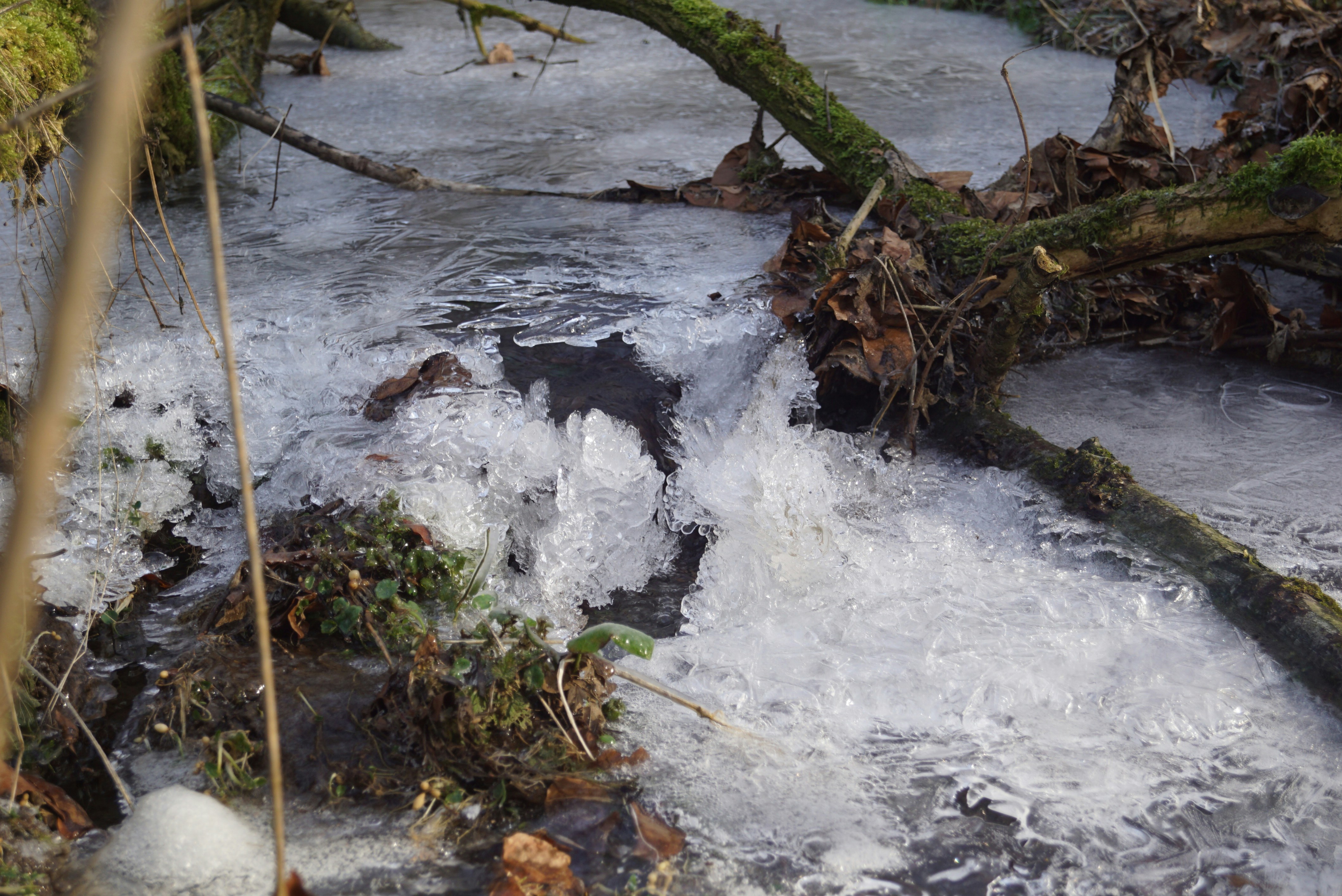 Photo by hansjuergenbraun