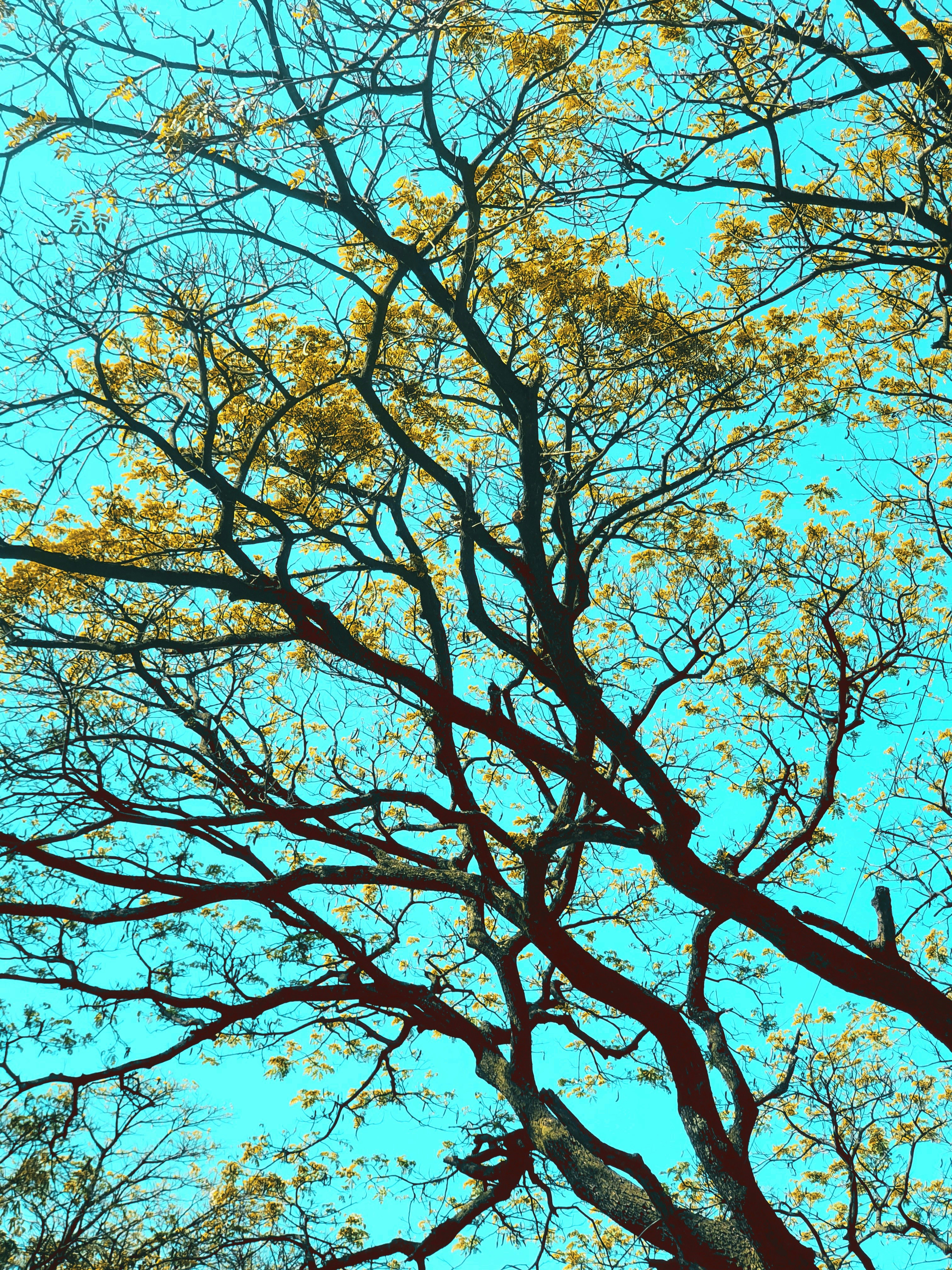 Photo by 5zantrigger