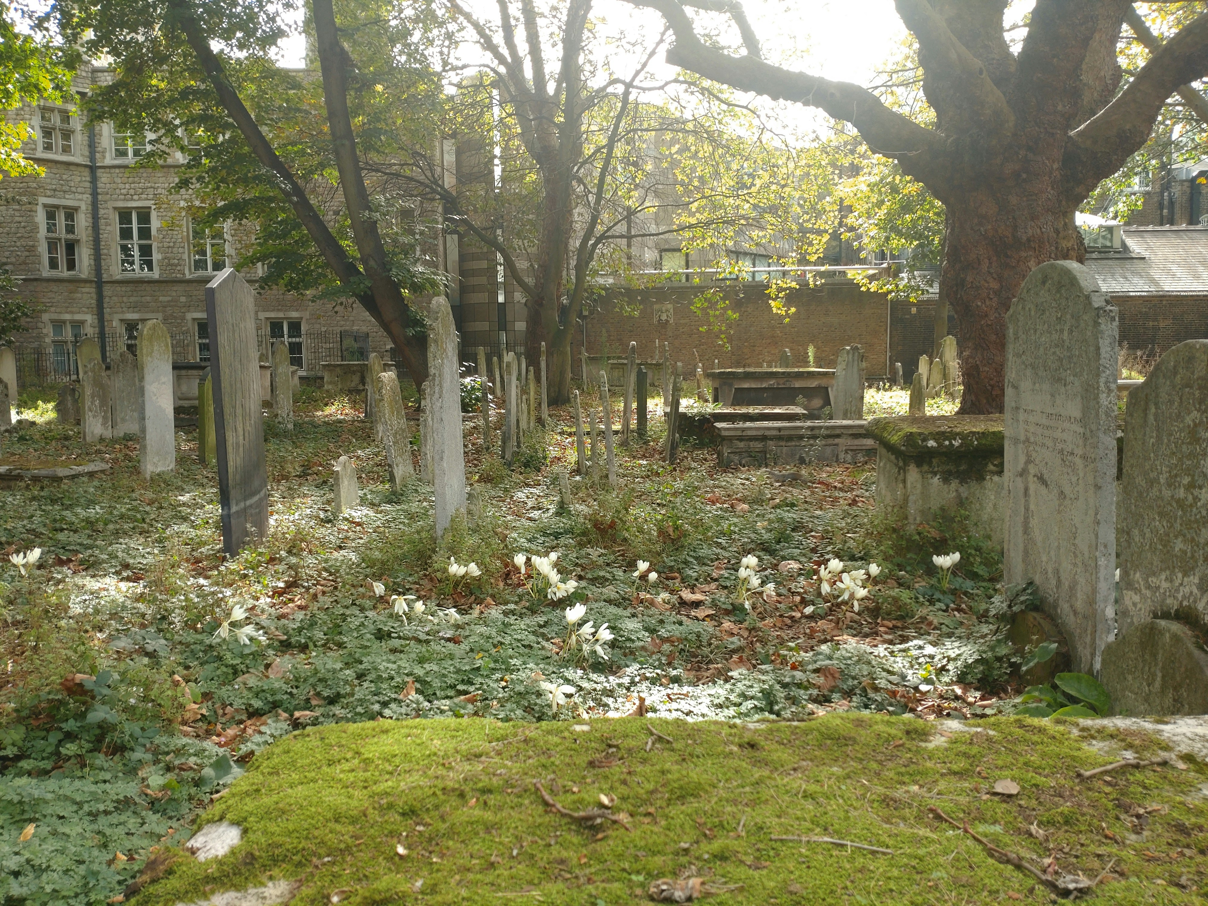 Ancien Cimetière