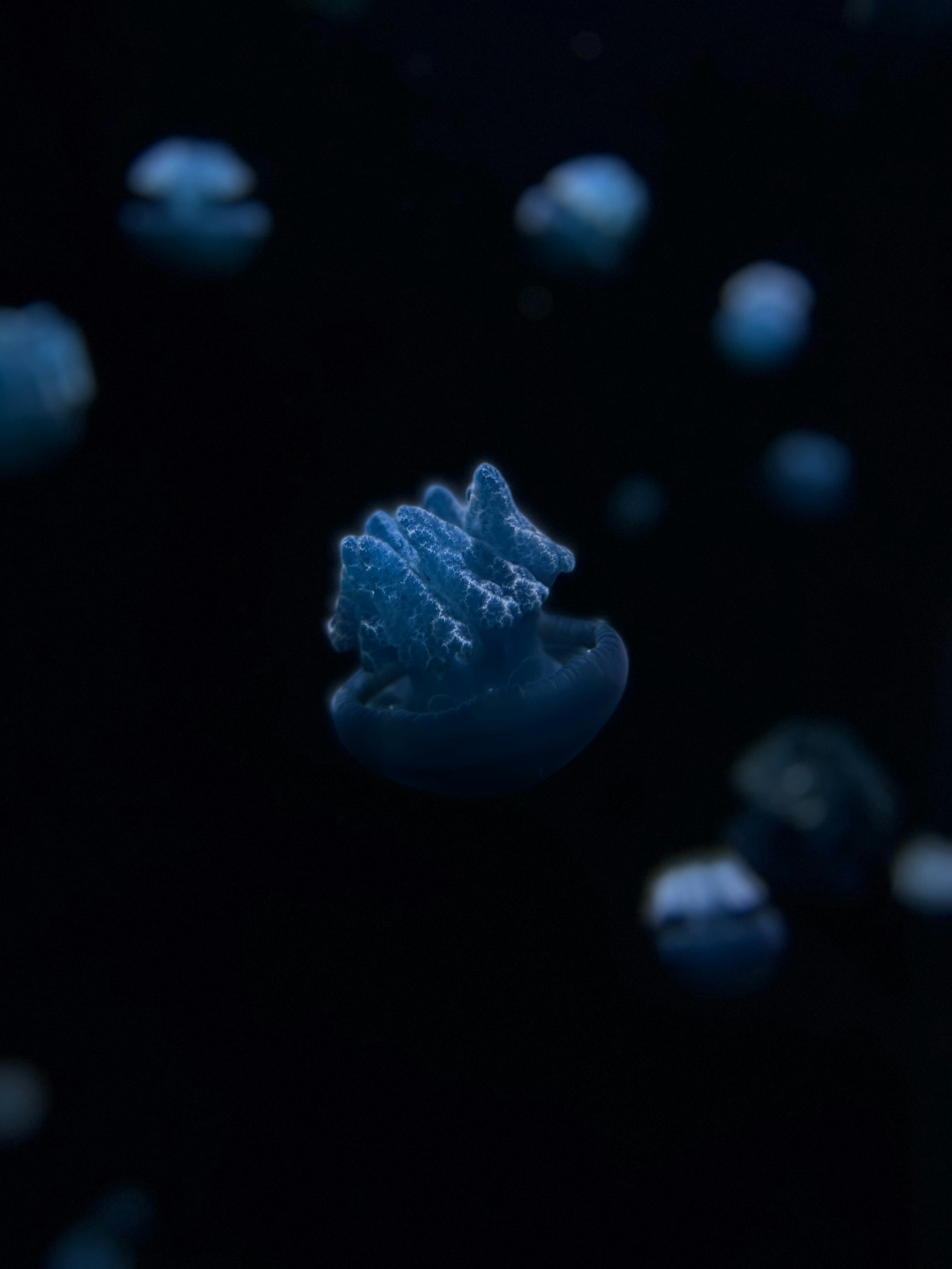 Photo by retsuko1106