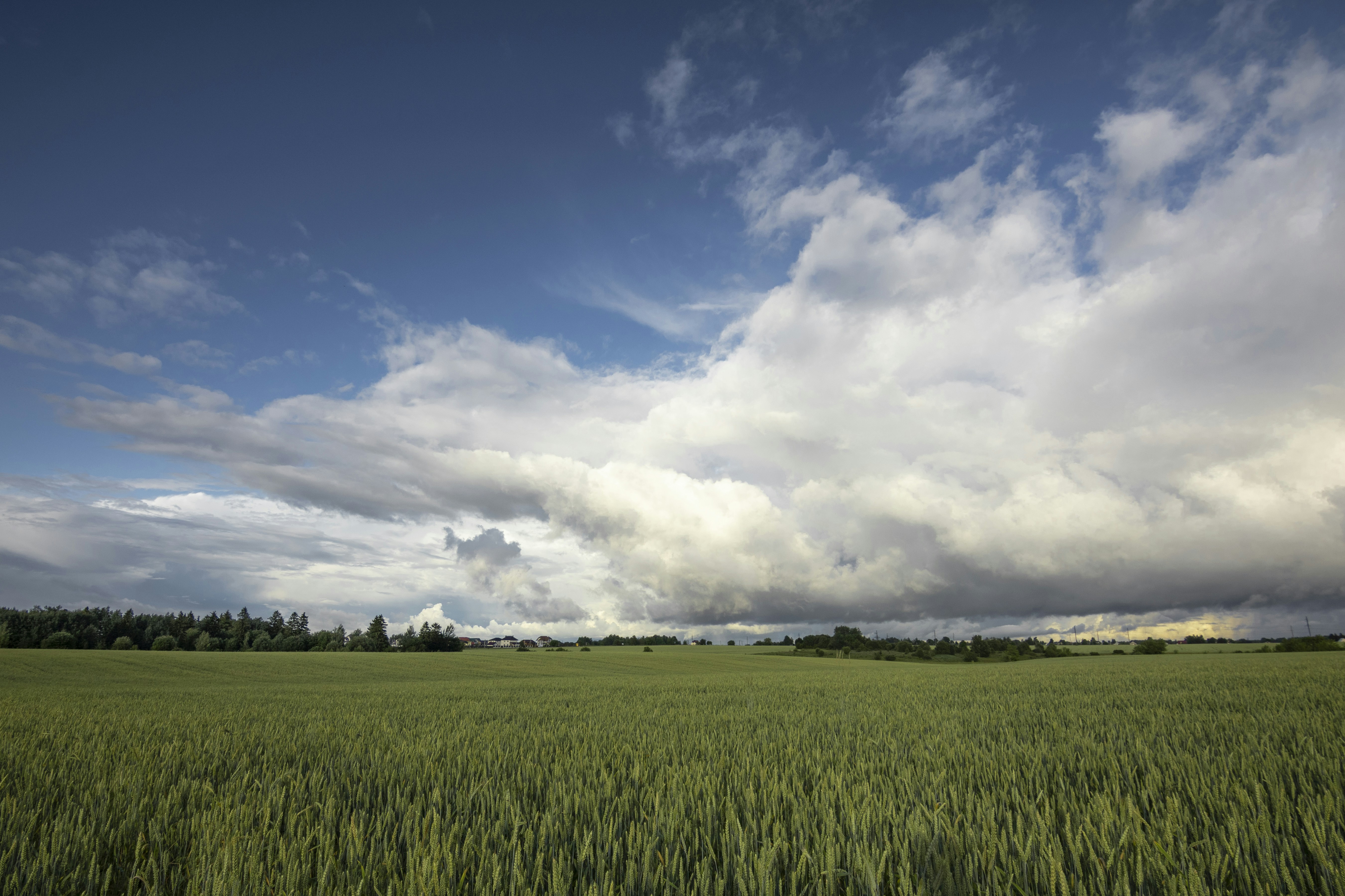 Photo by darkmoon_afa