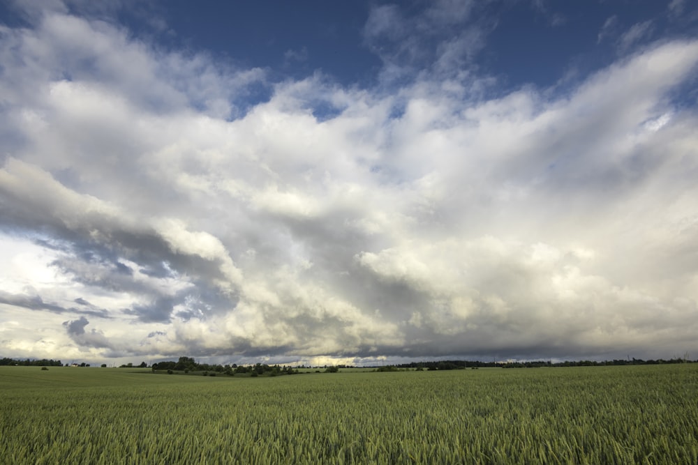 a large field of green grass under a cloudy sky