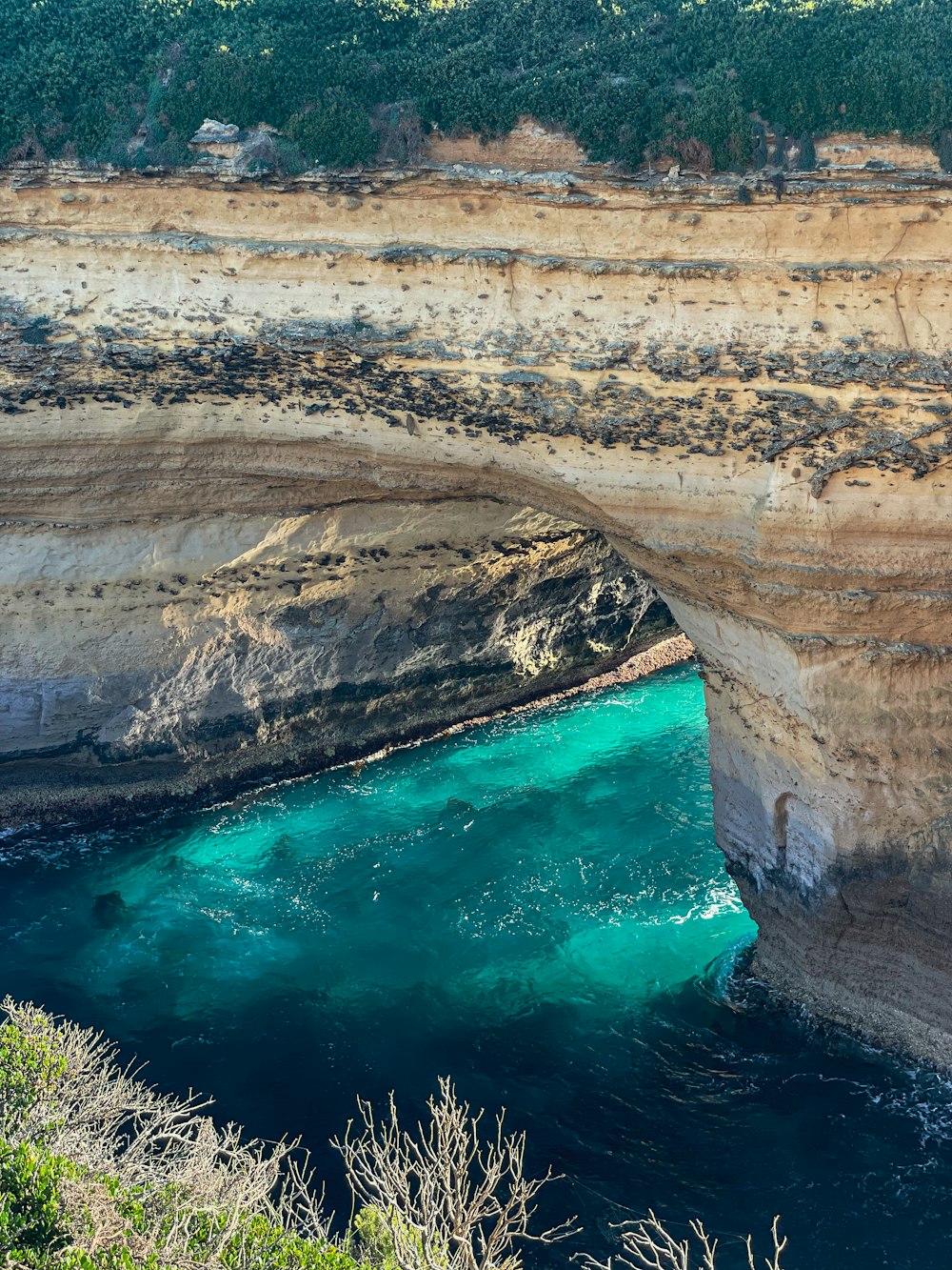 a view of the ocean from a cliff