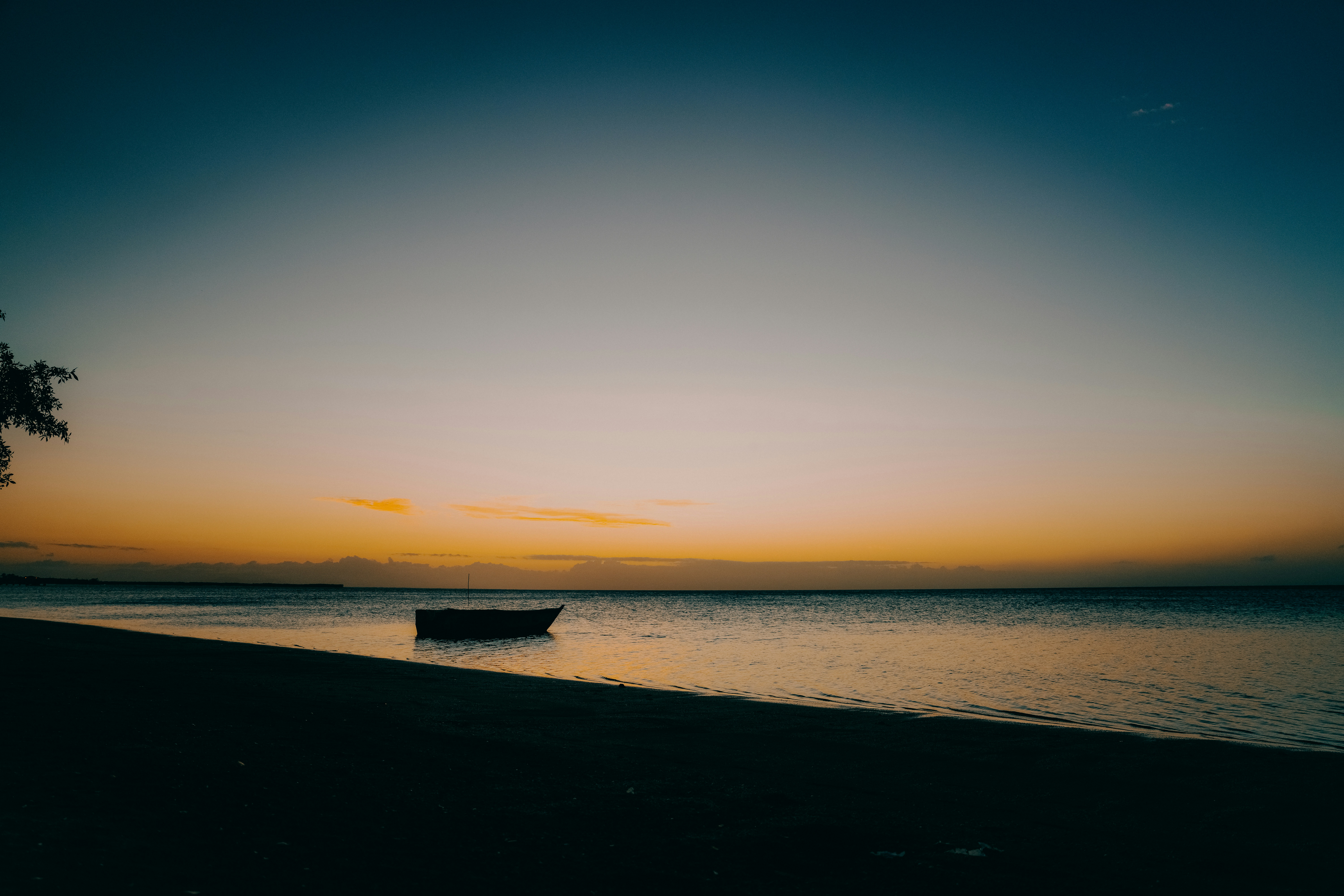 Photo by eliasperdomosoto