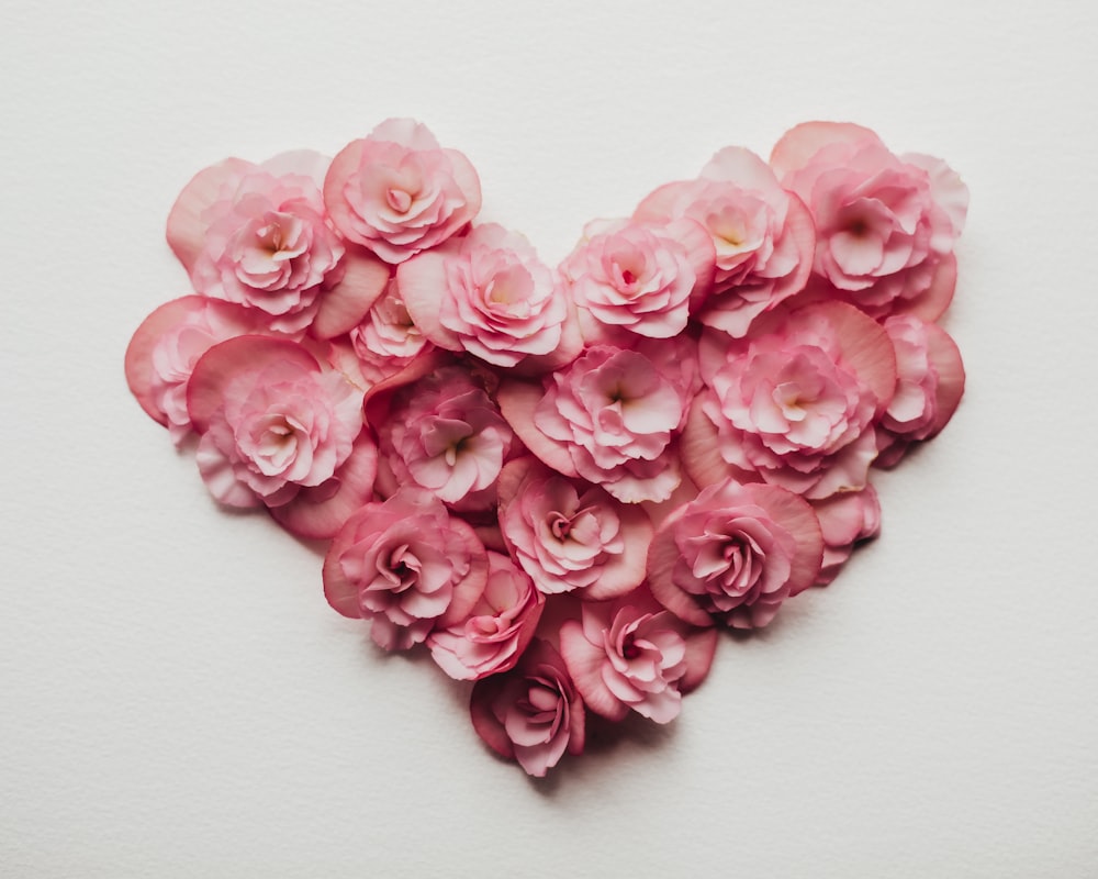 a heart made of pink flowers on a white background