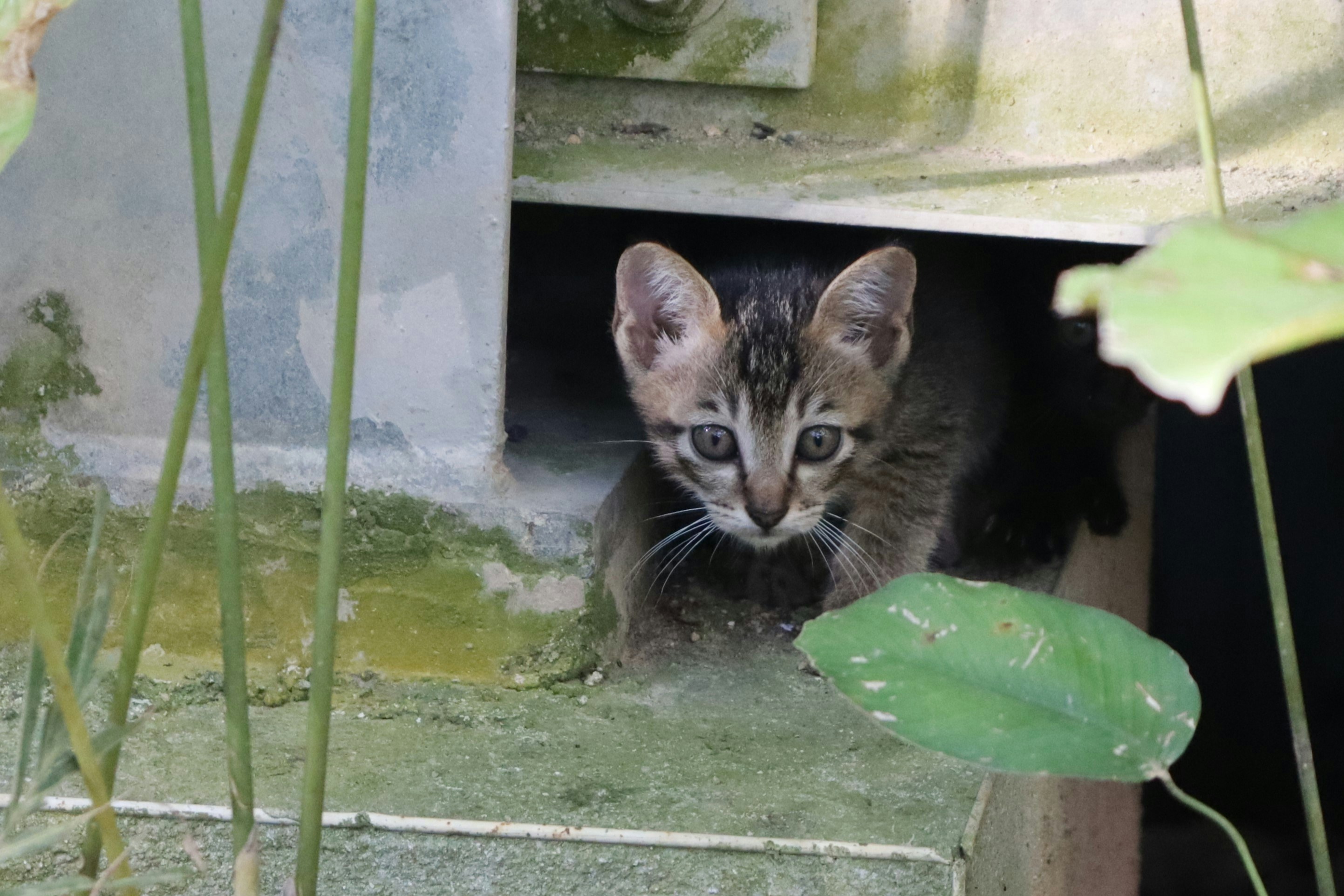 Photo by alicja_photos