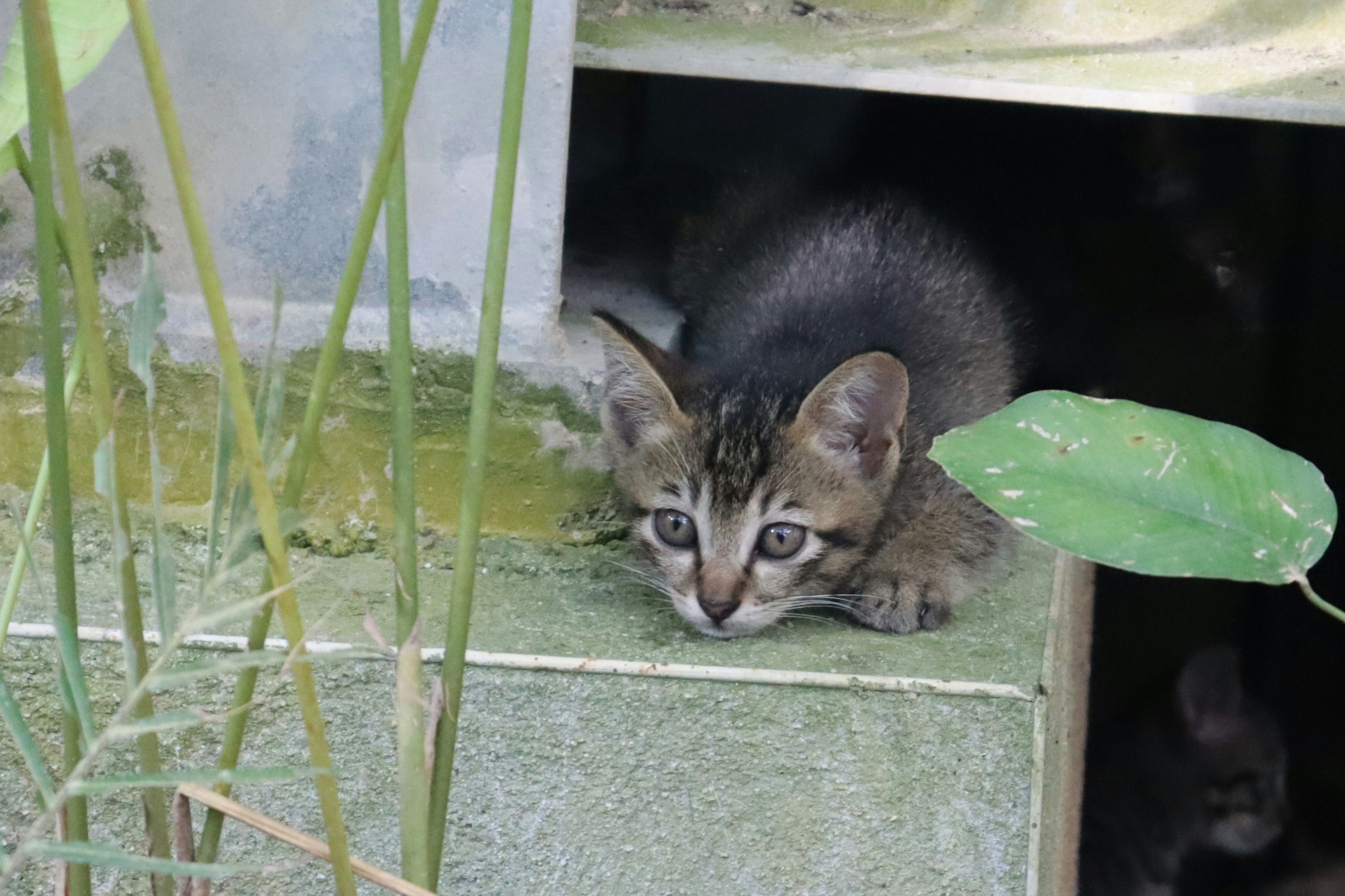 Photo by alicja_photos