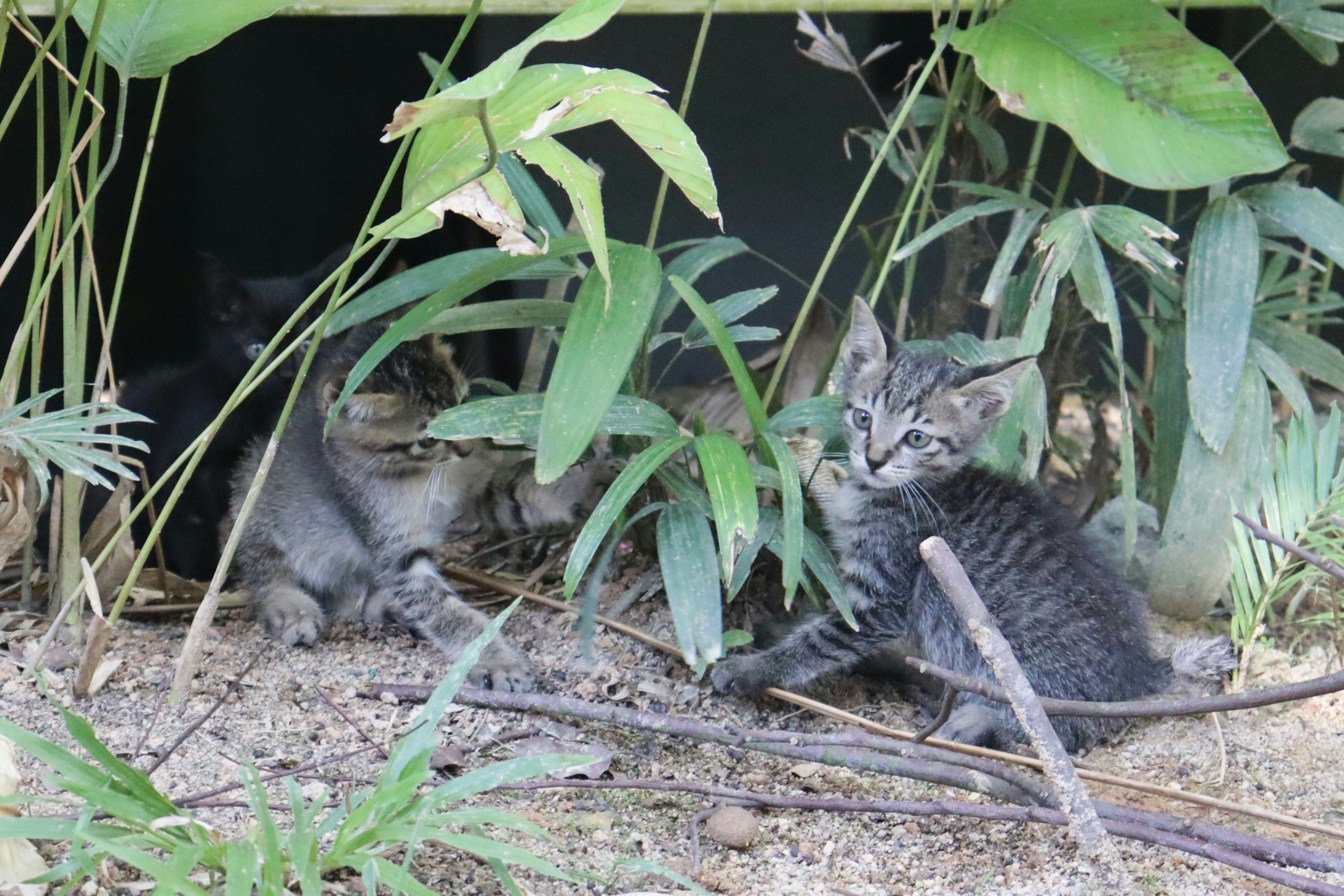 Photo by alicja_photos