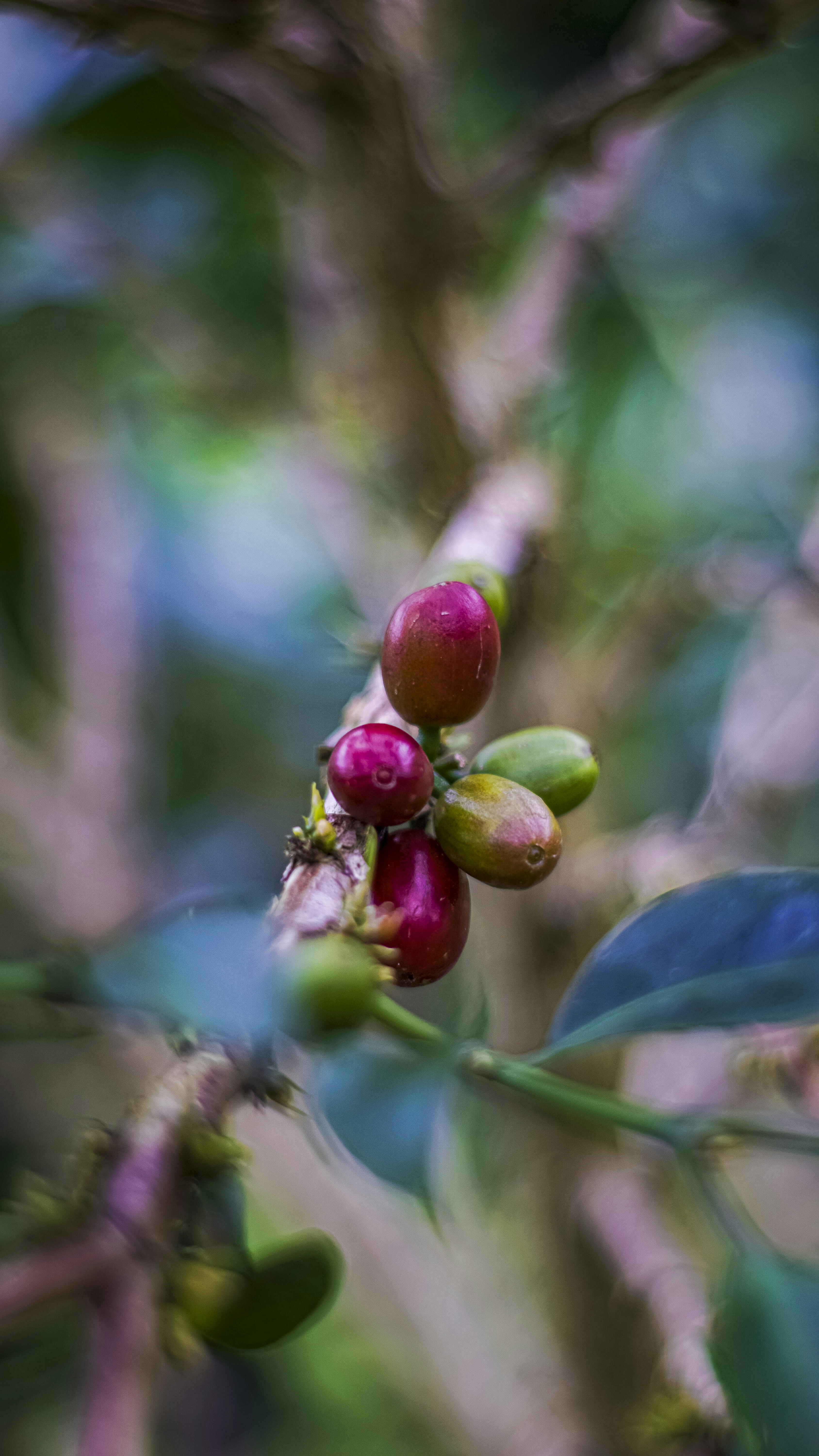 Photo by bartorumahorbo