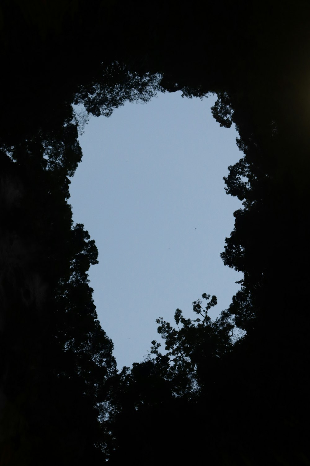 a view of the sky through some trees