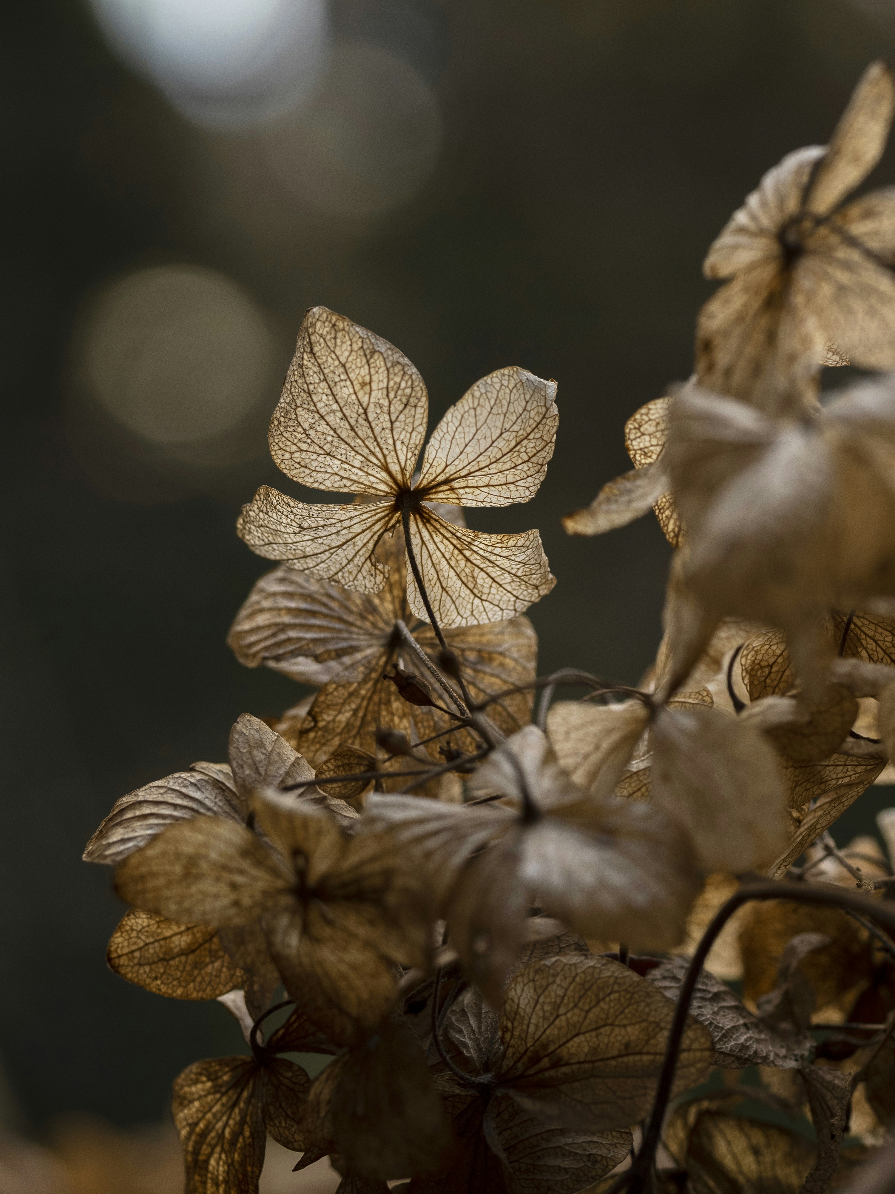 Photo by lyricalcode