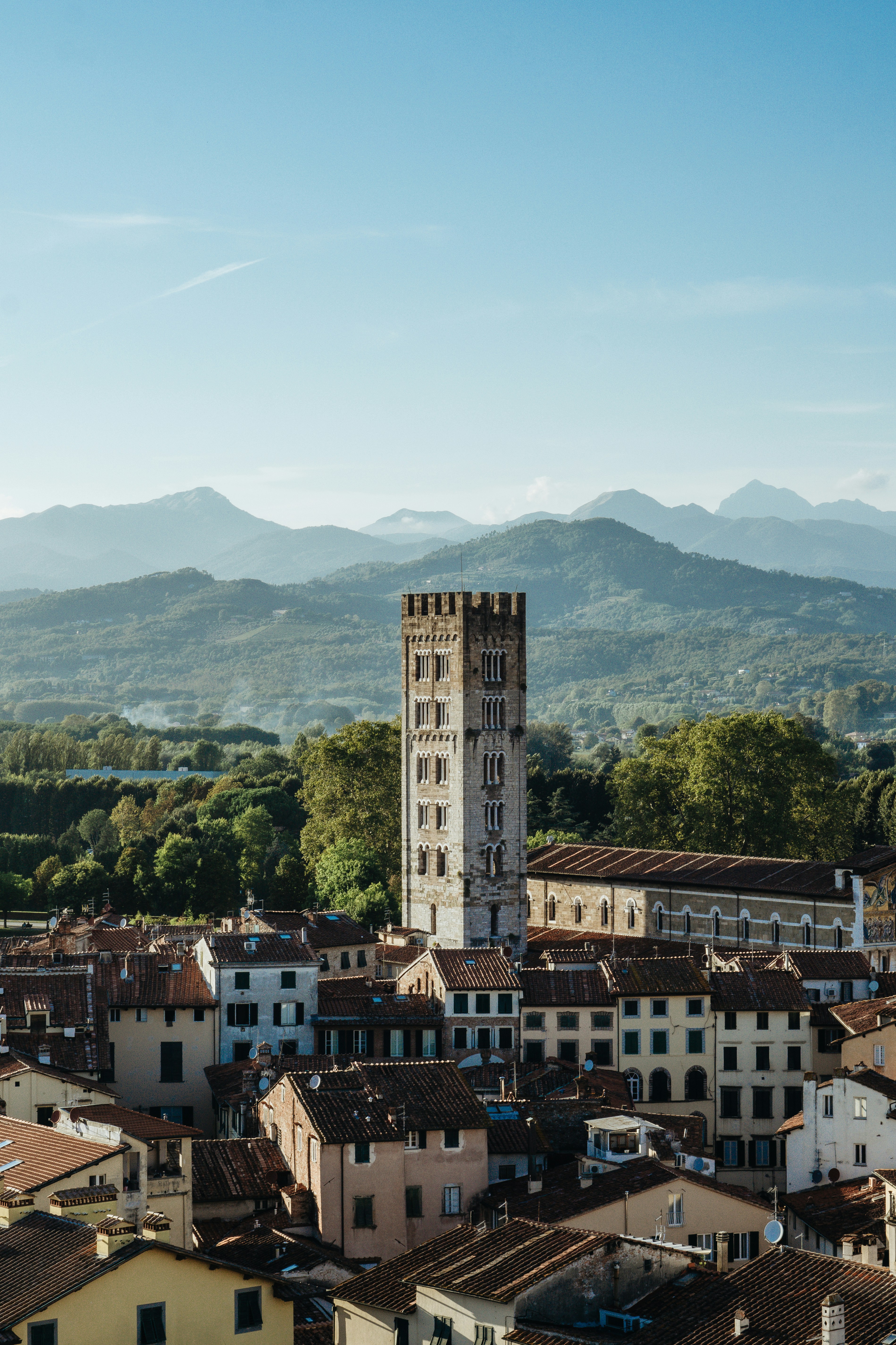 a view of a city with mountains in the background