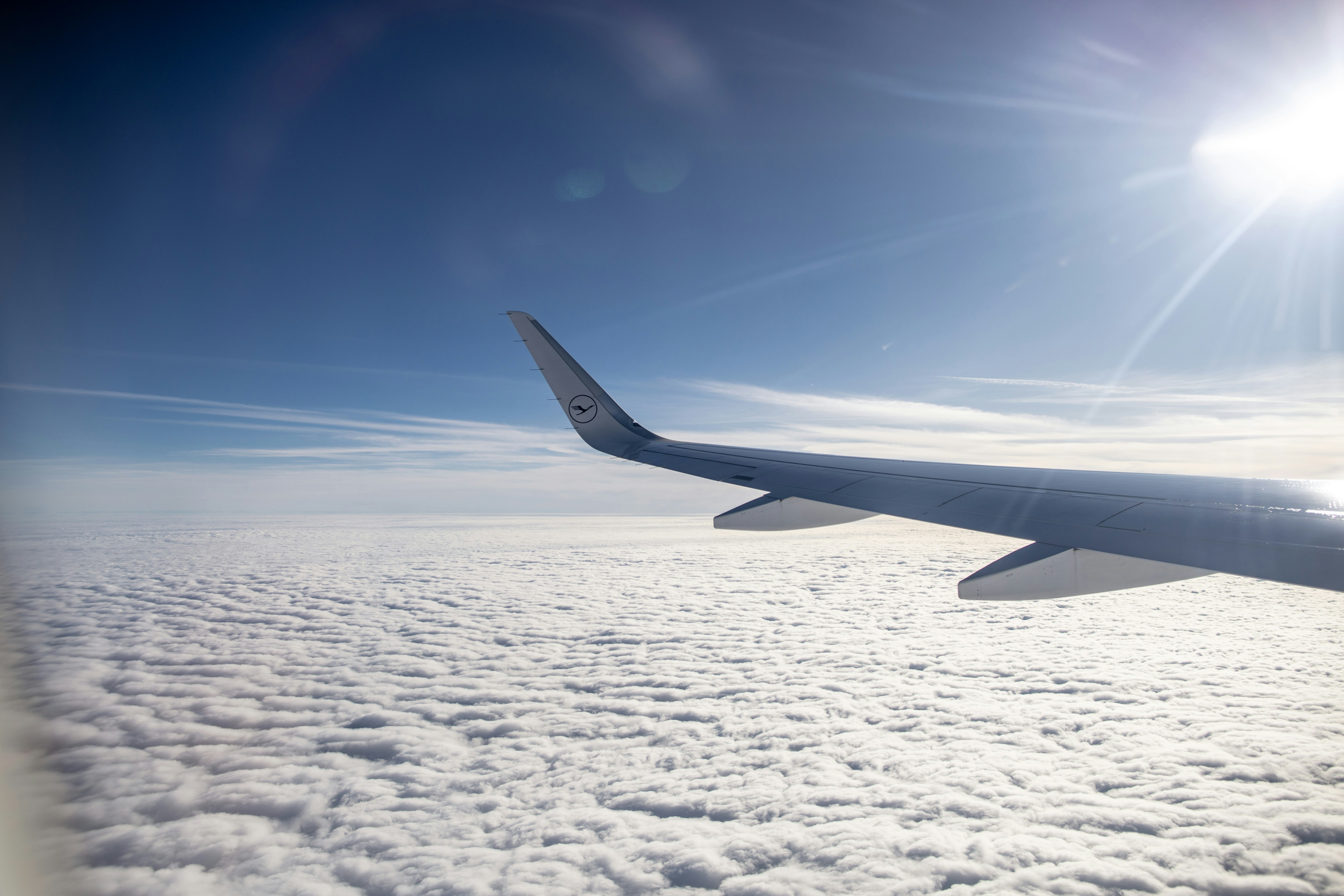 Photo by paul_steiner