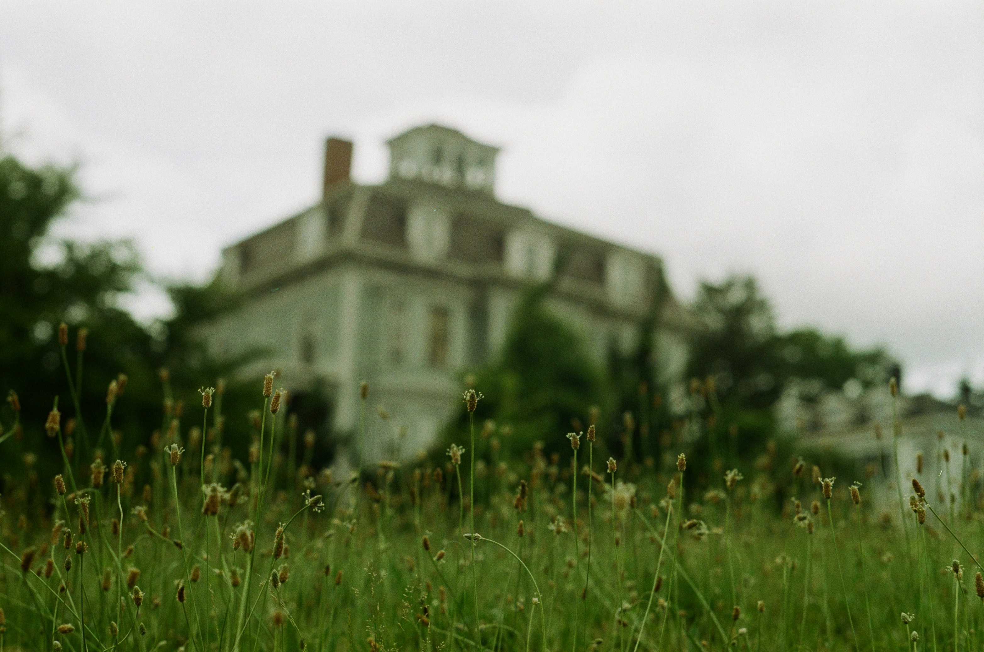 Meadow grasses in sharp focus in the foreground with a historic building softly blurred in the background. The shallow depth of field emphasizes texture in the foreground while the distant manor recedes into haze.