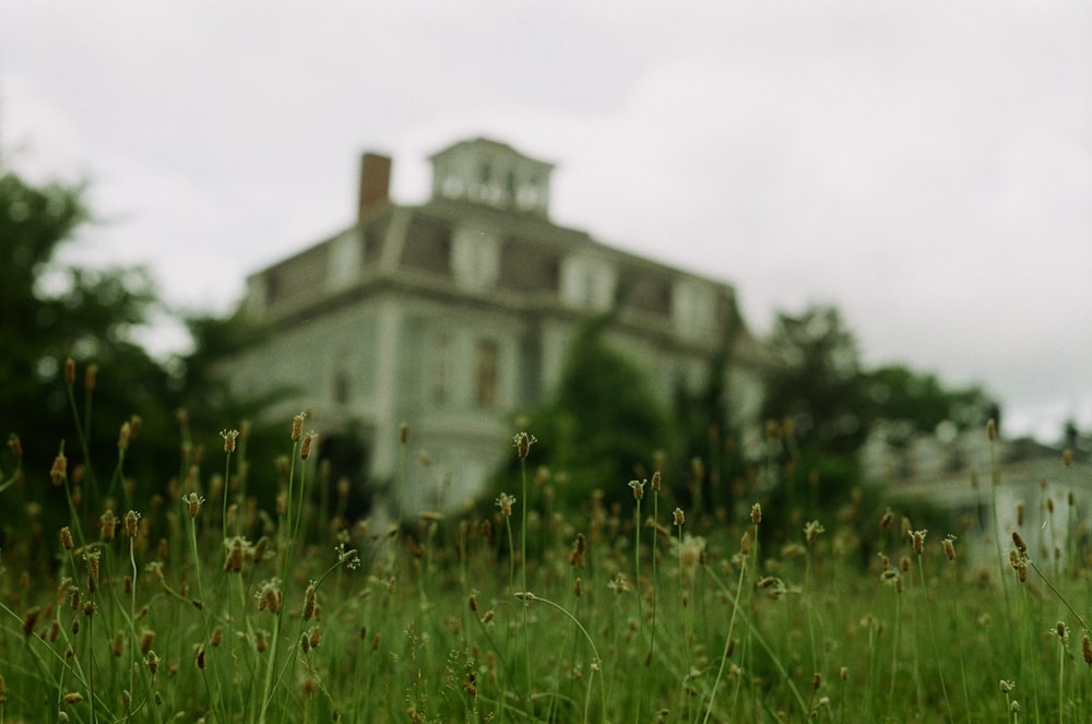 a large house in the background with grass in the foreground