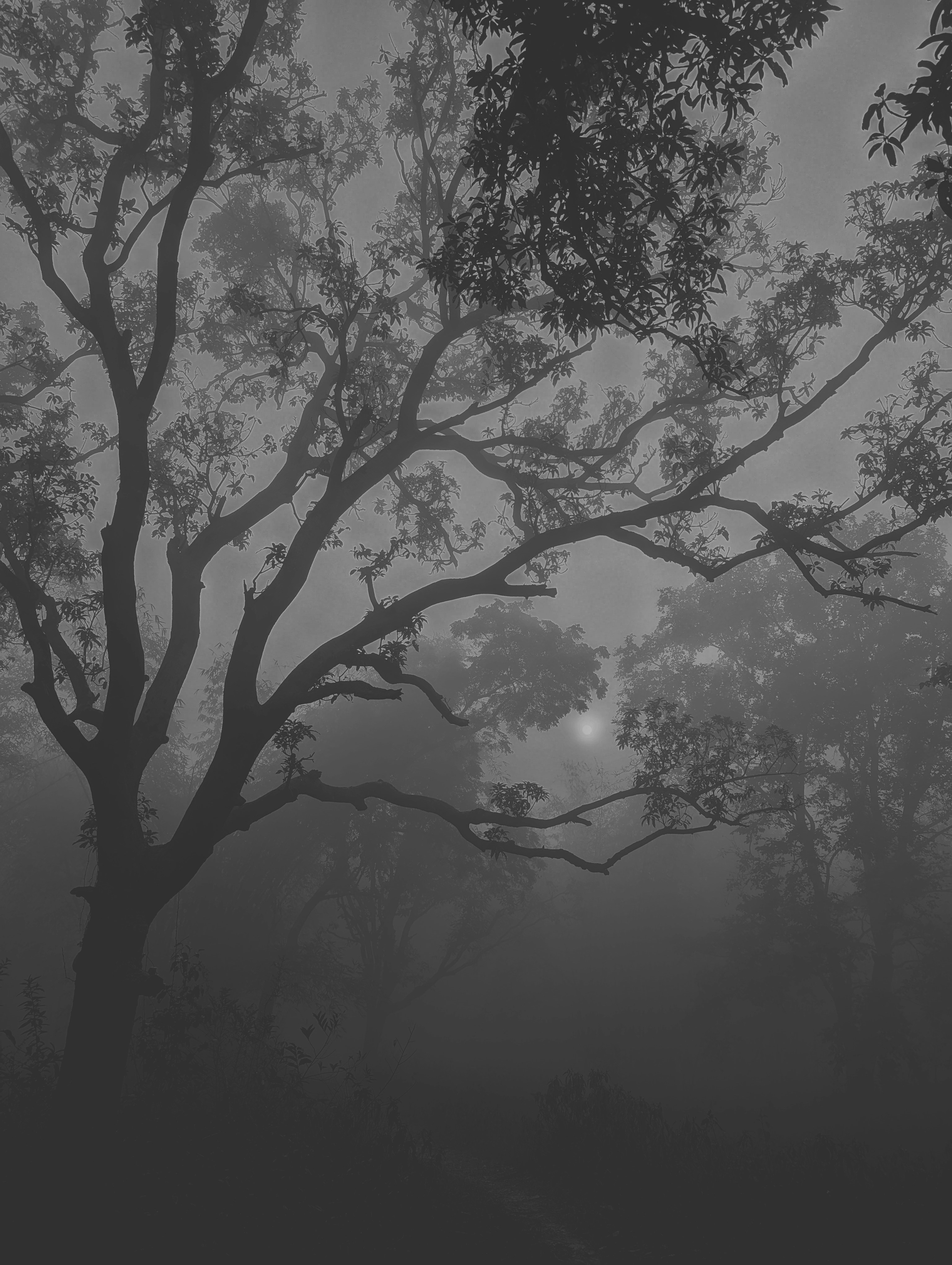 Photo by sudhanshu221b