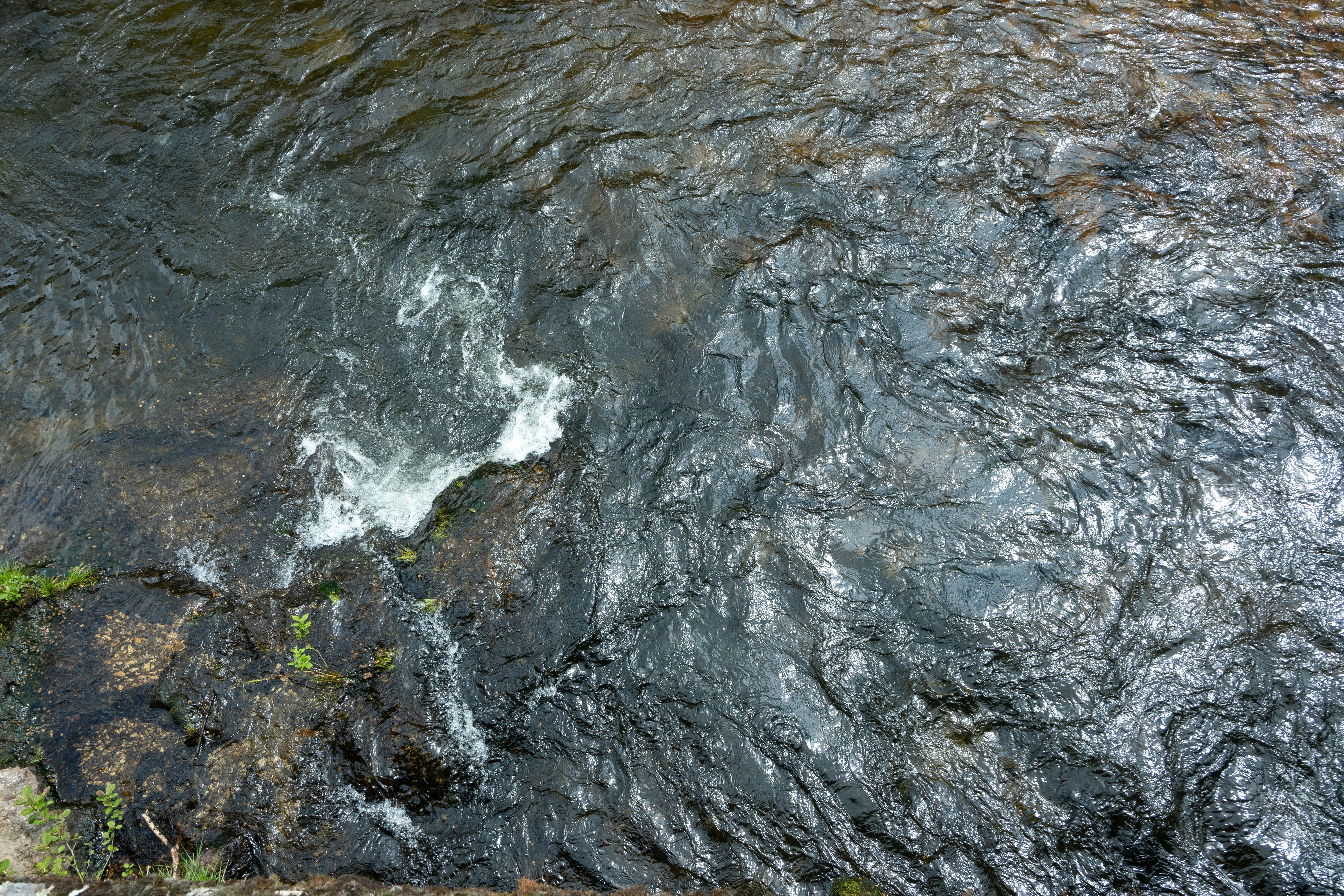 Photo by projectkeno