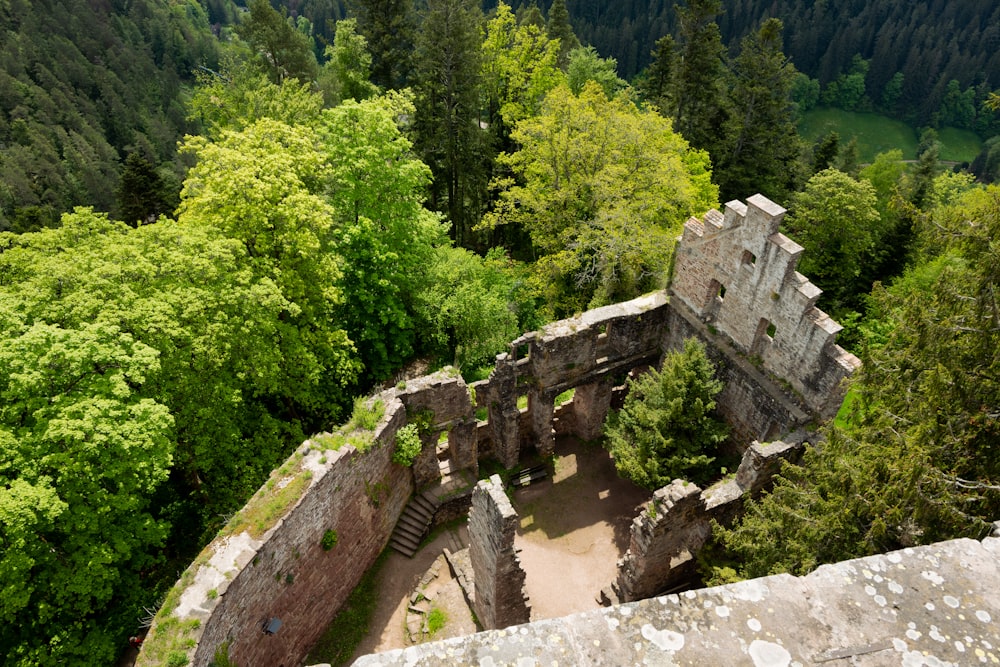 a view of the ruins of a castle in the woods