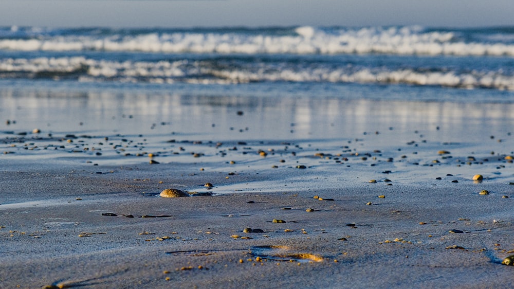 a close up of sand and water on a beach