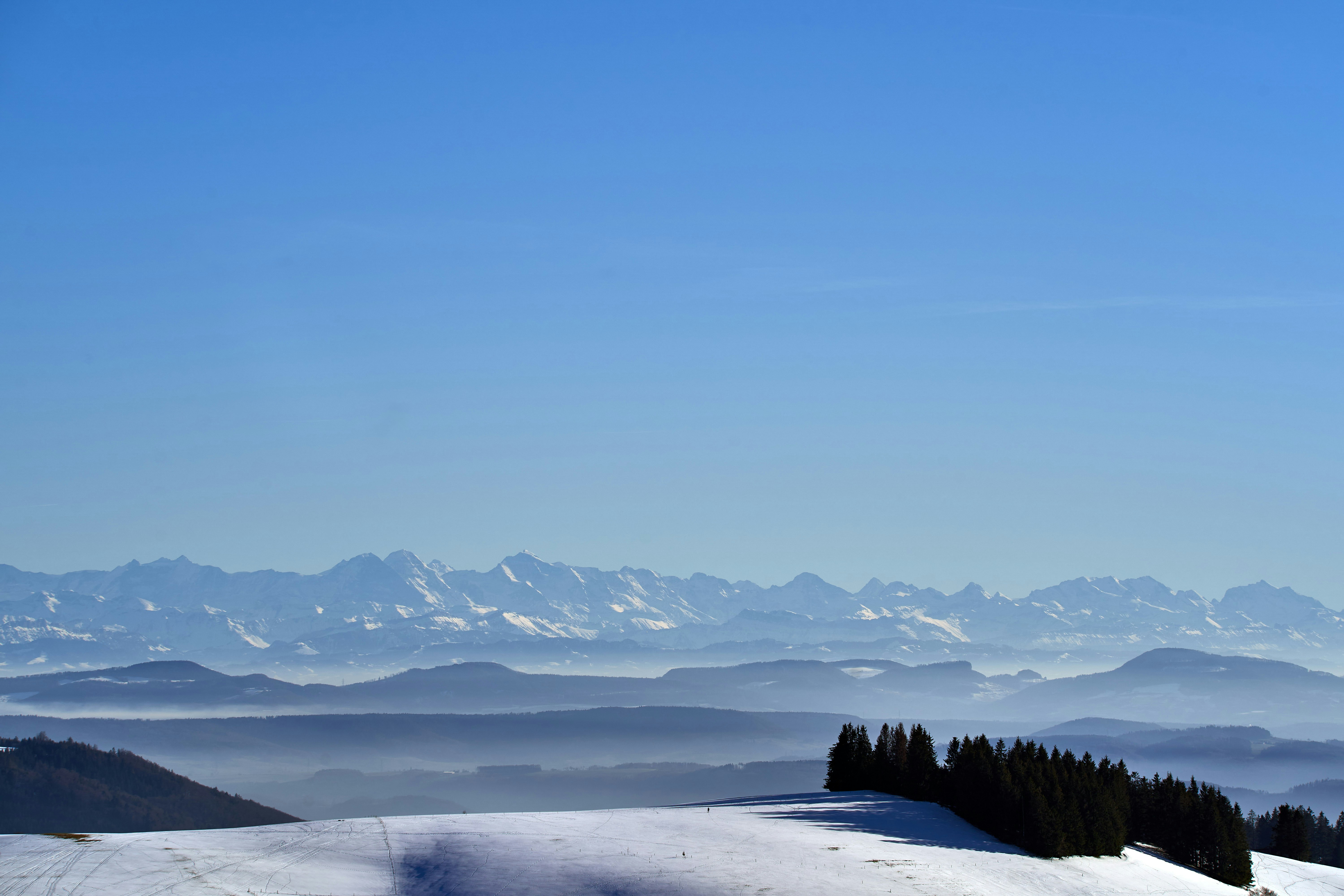 Photo by wolfgang_hasselmann