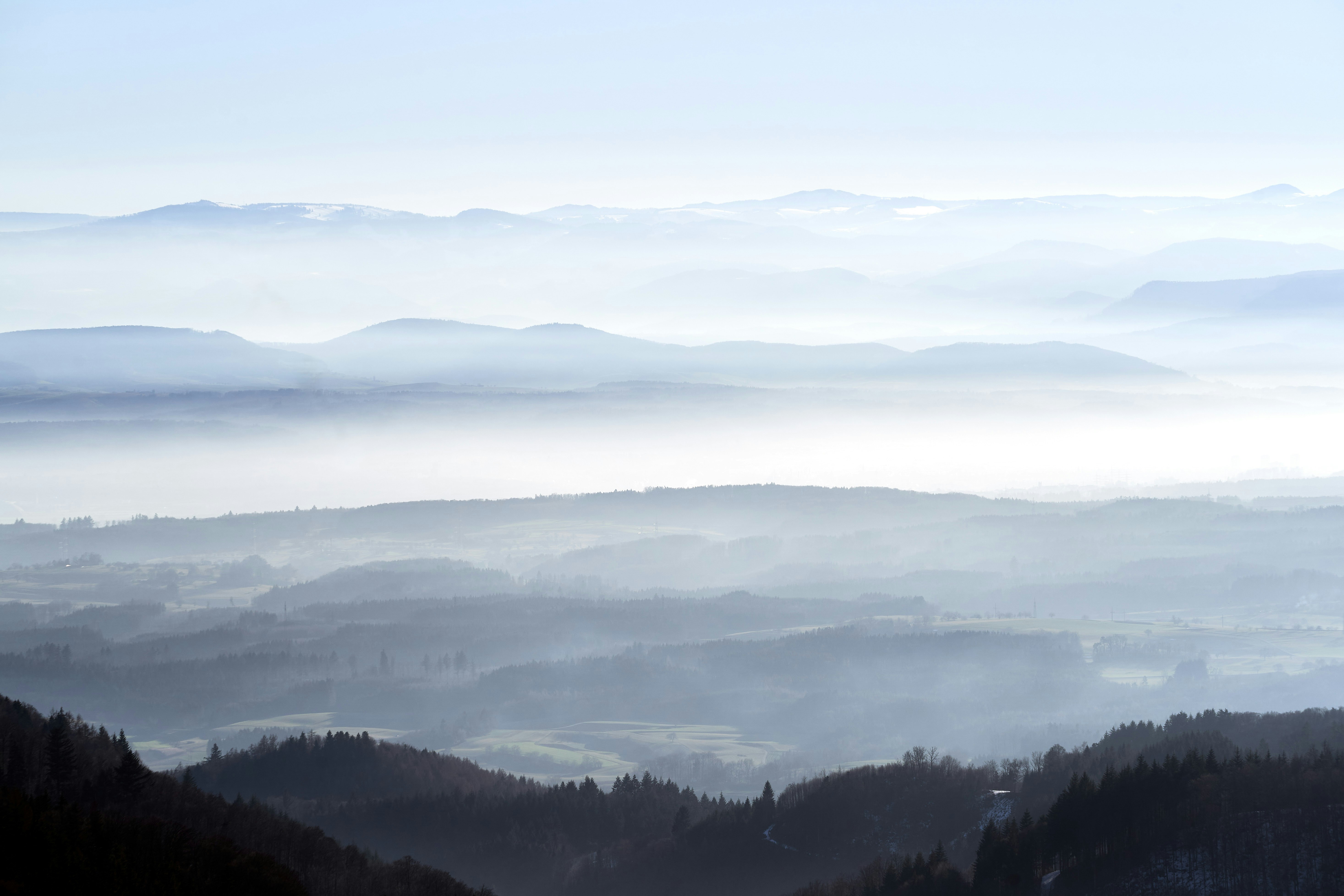 Photo by wolfgang_hasselmann