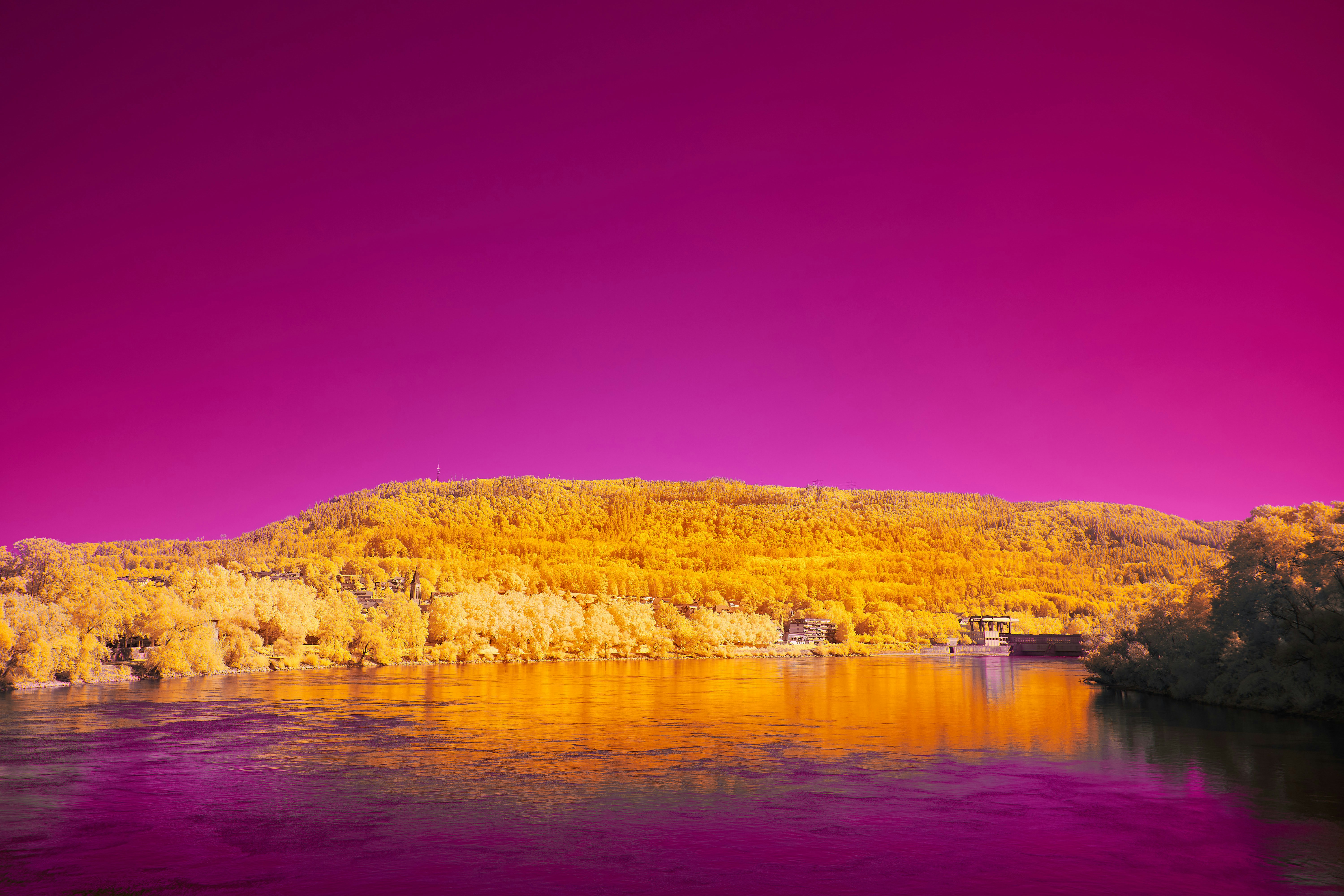 Photo by wolfgang_hasselmann