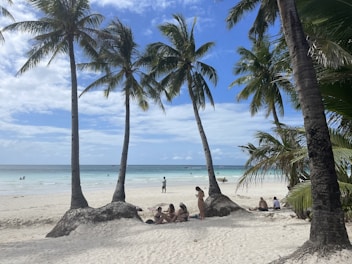 a group of people sitting on top of a sandy beach