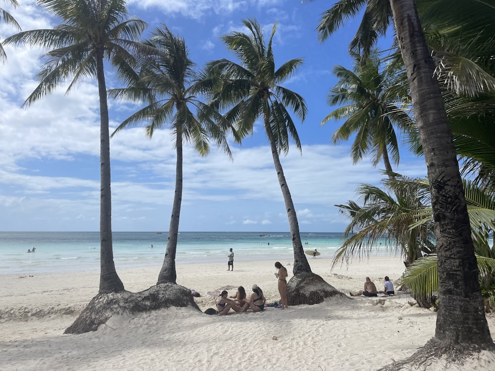 a group of people sitting on top of a sandy beach