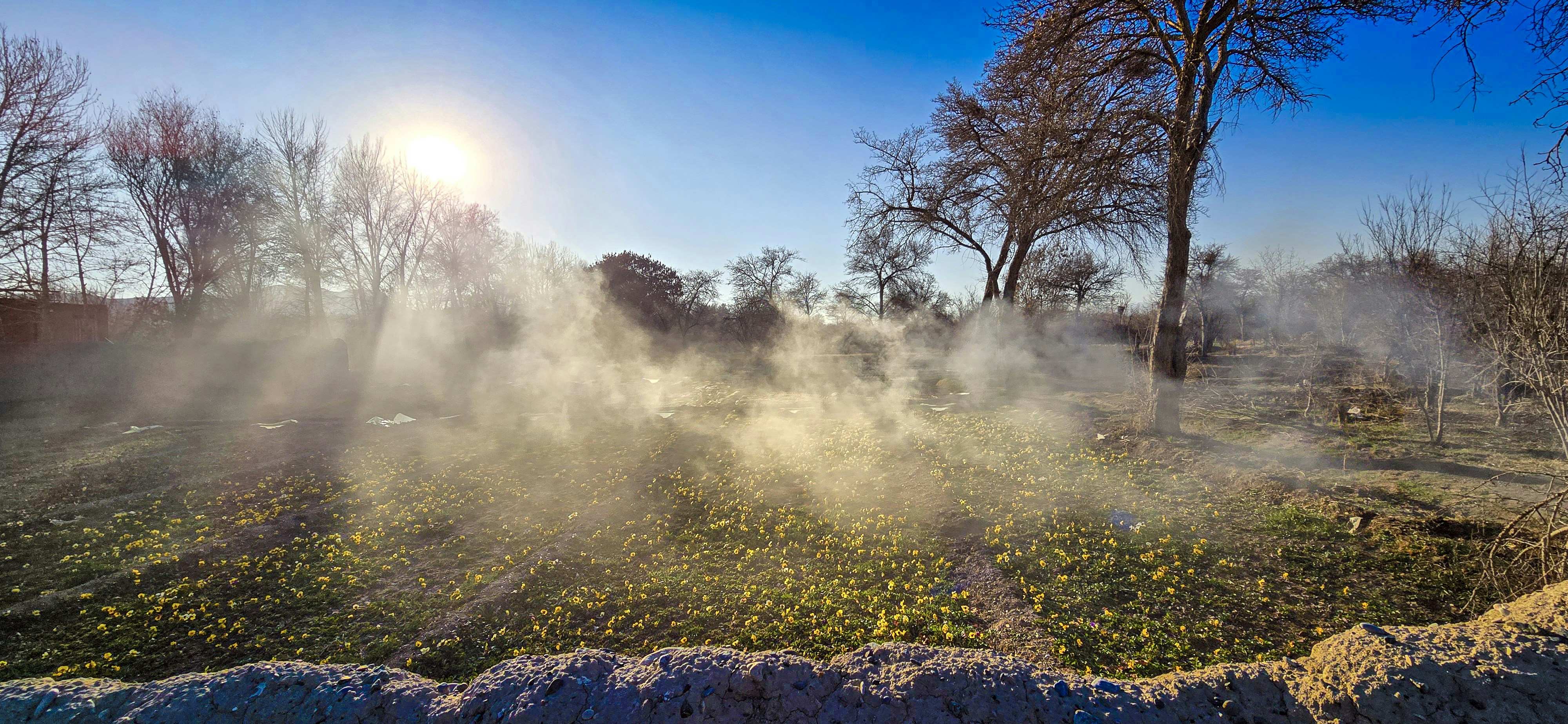 Photo by aliarjmandi