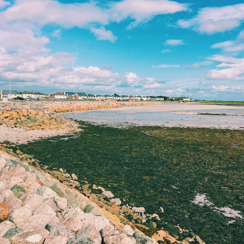 a view of a rocky shore with a body of water