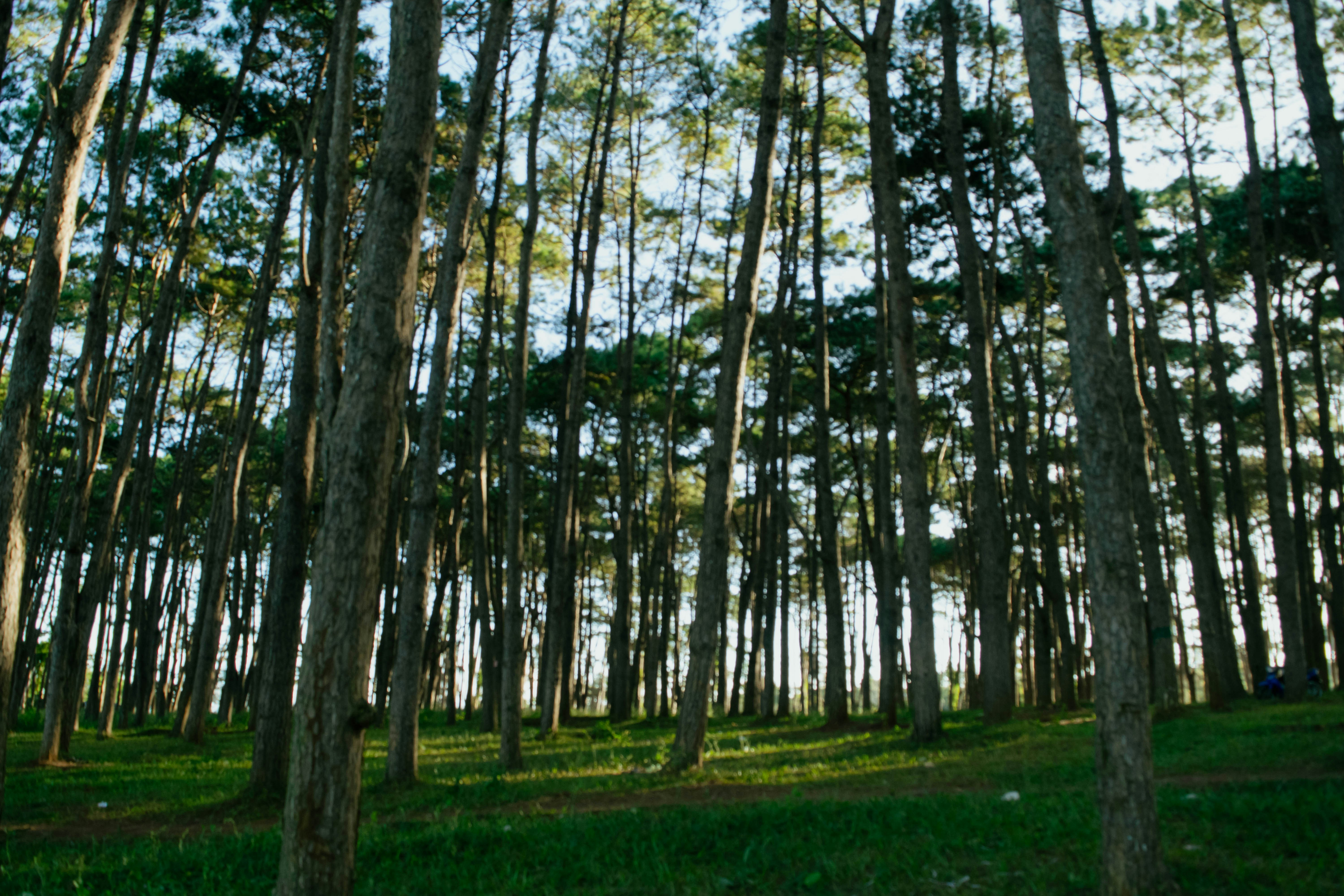 Photo by hoanganh_dreamplanie