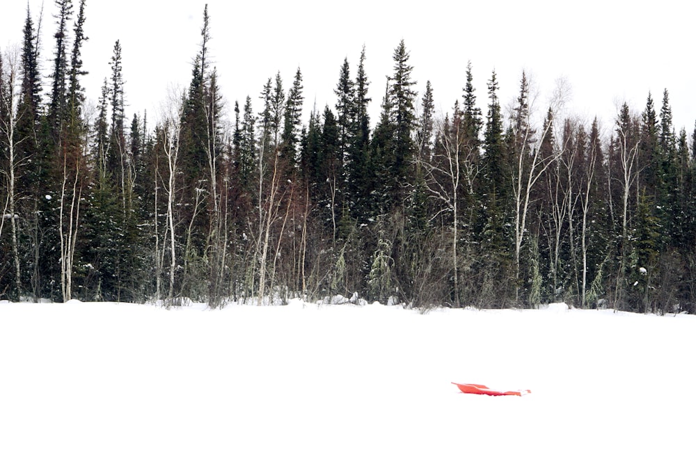 a snow covered field with trees in the background