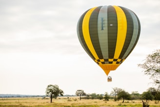 a large hot air balloon flying over a lush green field