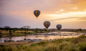 Hot air balloons over the African plains