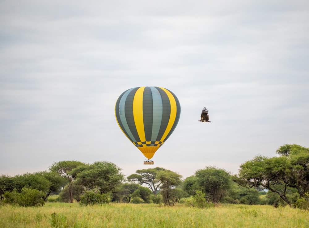 a hot air balloon flying over a lush green field