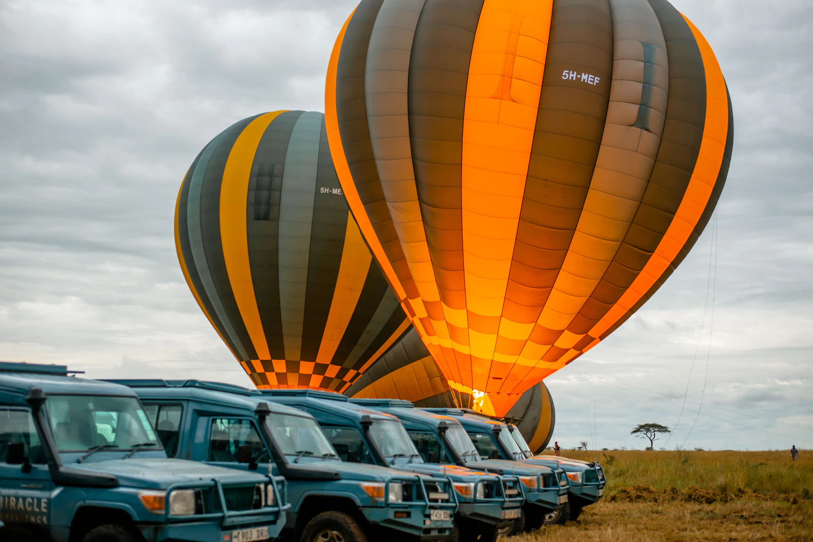 Hot air balloons drifting over the Serengeti at first light