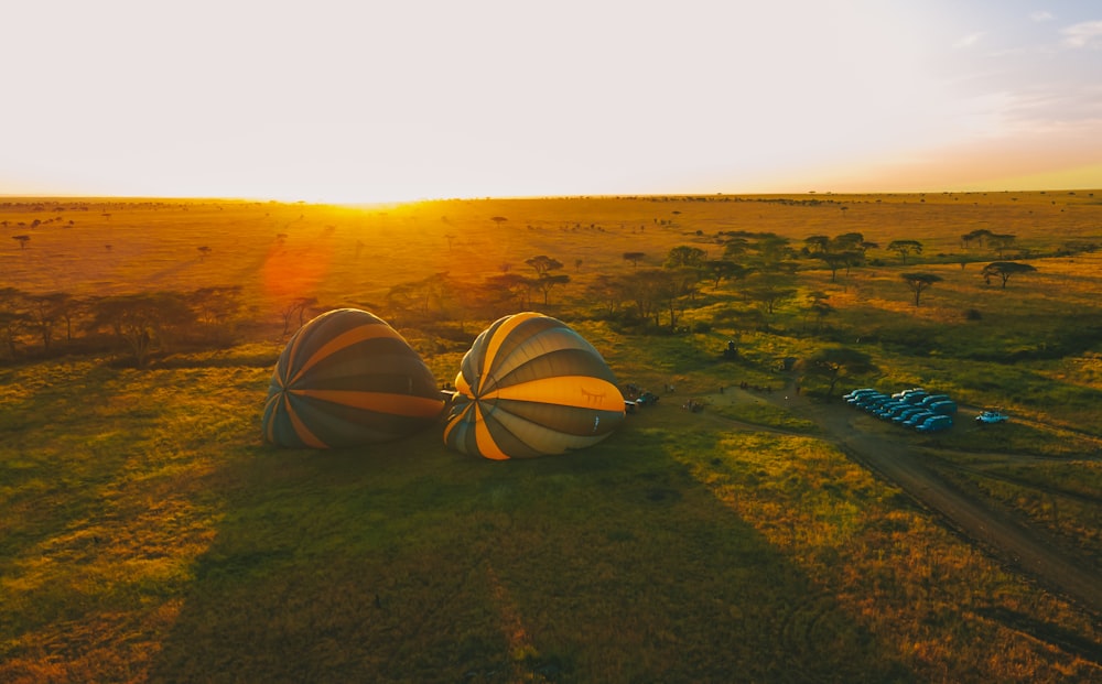 a hot air balloon sitting on top of a lush green field