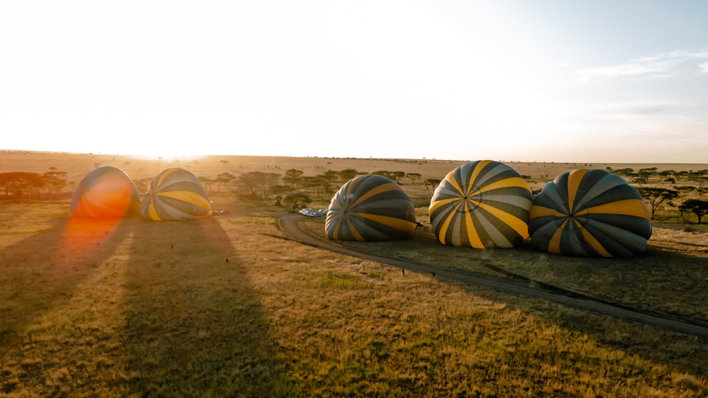 a group of hot air balloons sitting on top of a lush green field