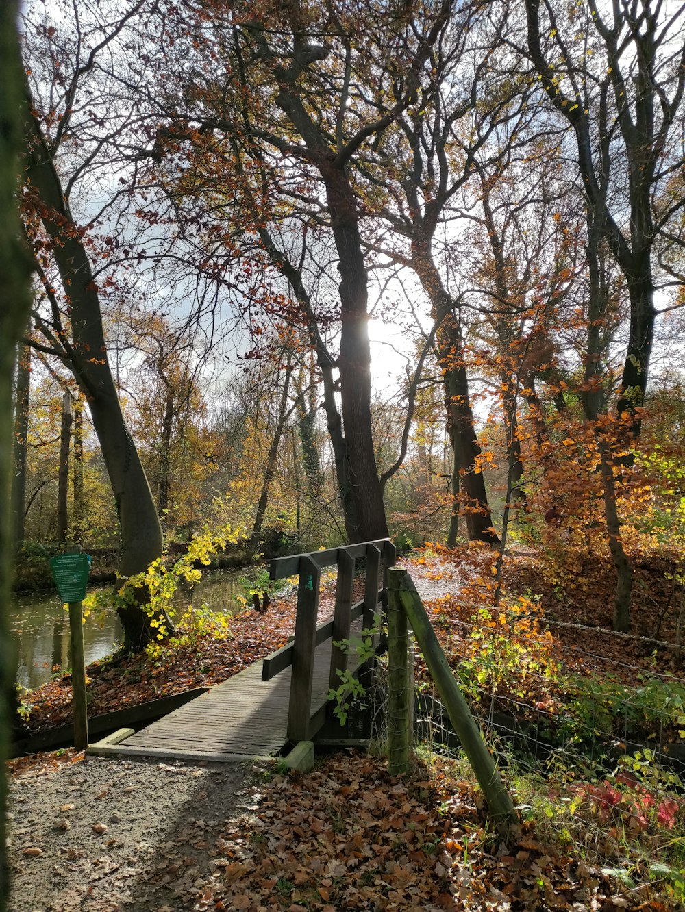 eine Holzbrücke über einen Fluss, der von Bäumen umgeben ist