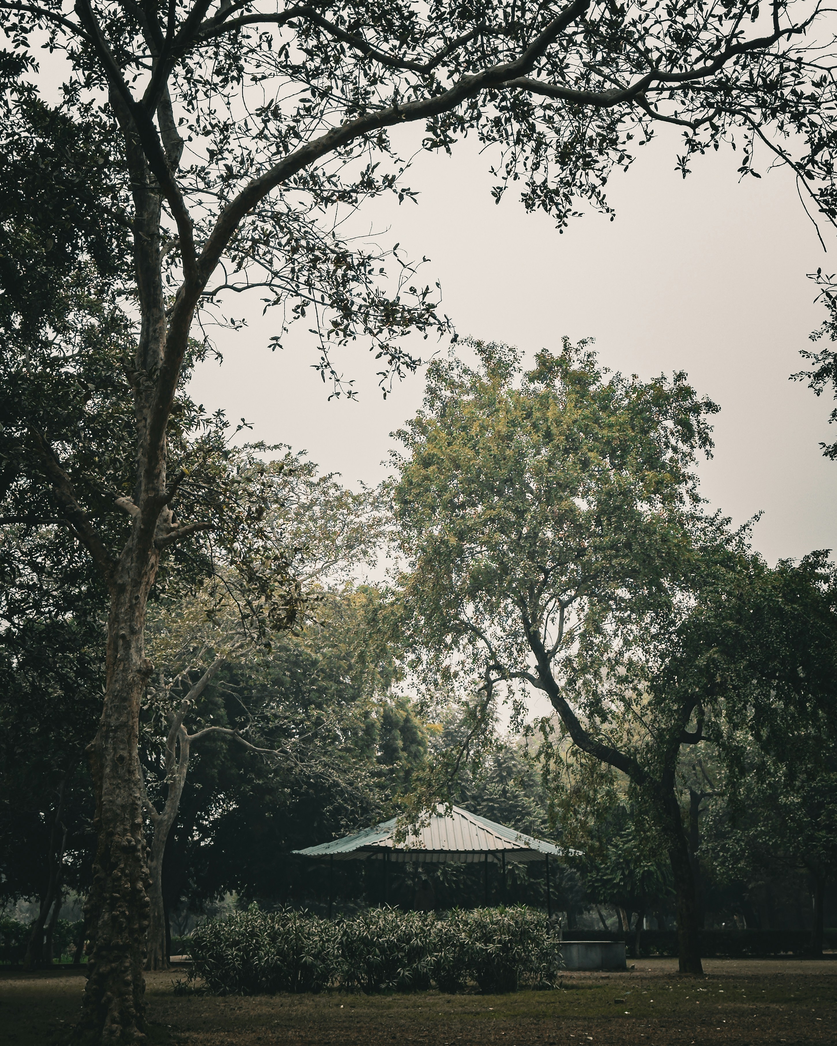 Photo by yesiamaphotographer