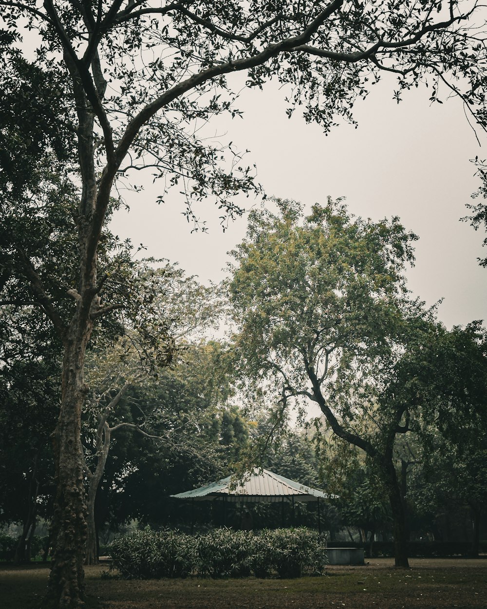 a gazebo surrounded by trees in a park