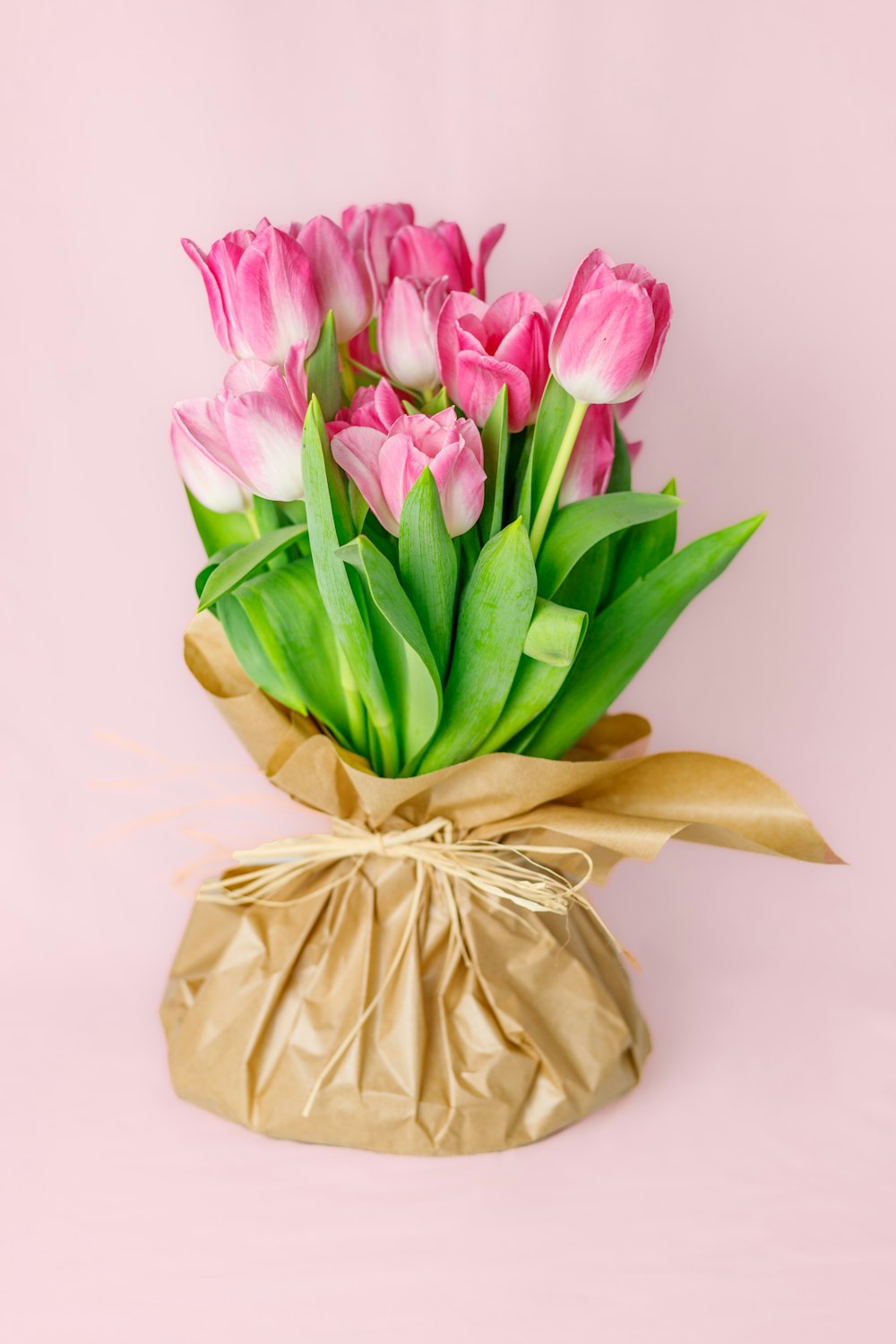 a bouquet of pink and white tulips in a paper bag