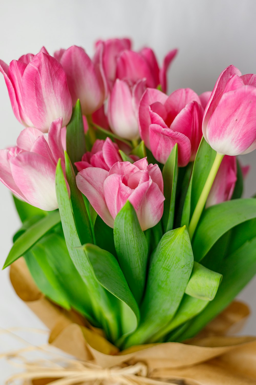 a bouquet of pink and white tulips in a vase