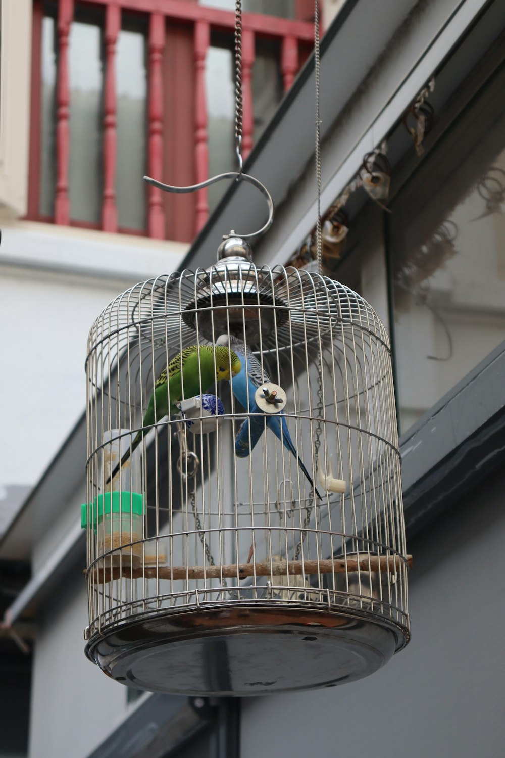un uccello in gabbia appeso al lato di un edificio